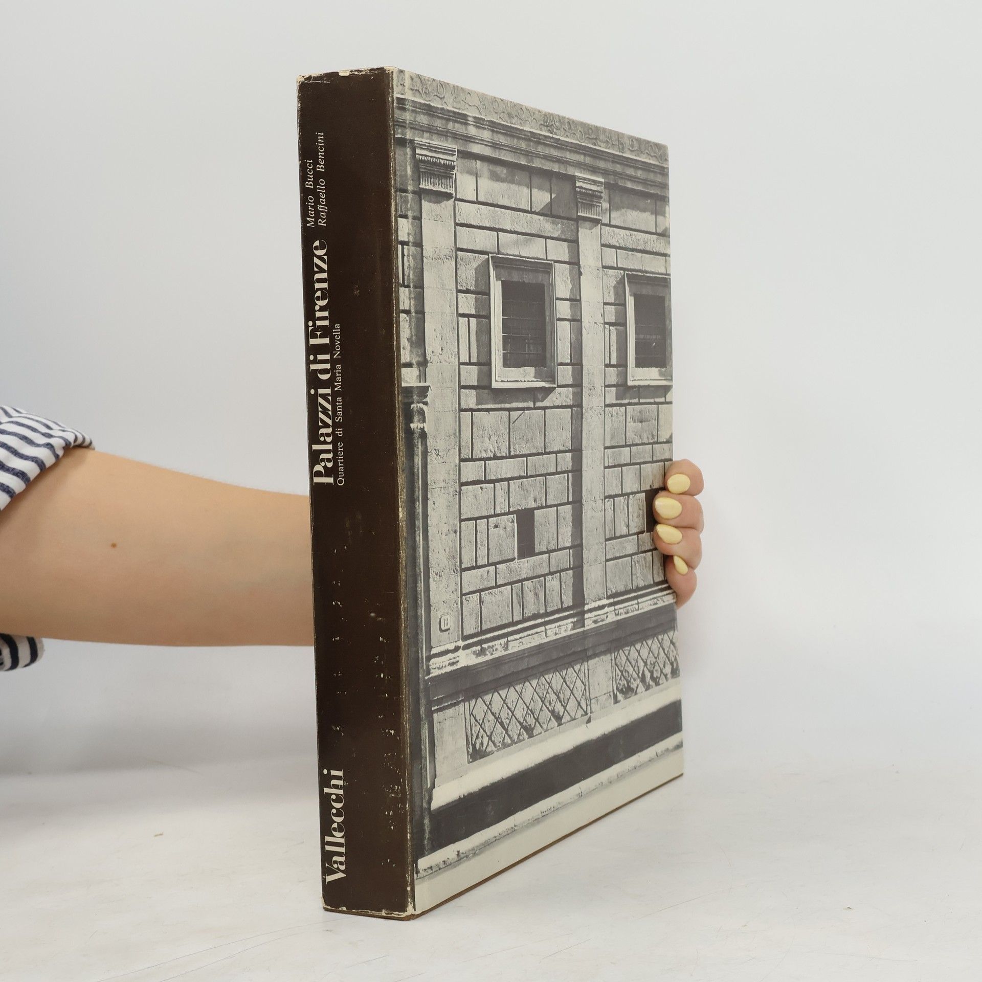 Mario Bucci Palazzi di Firenze