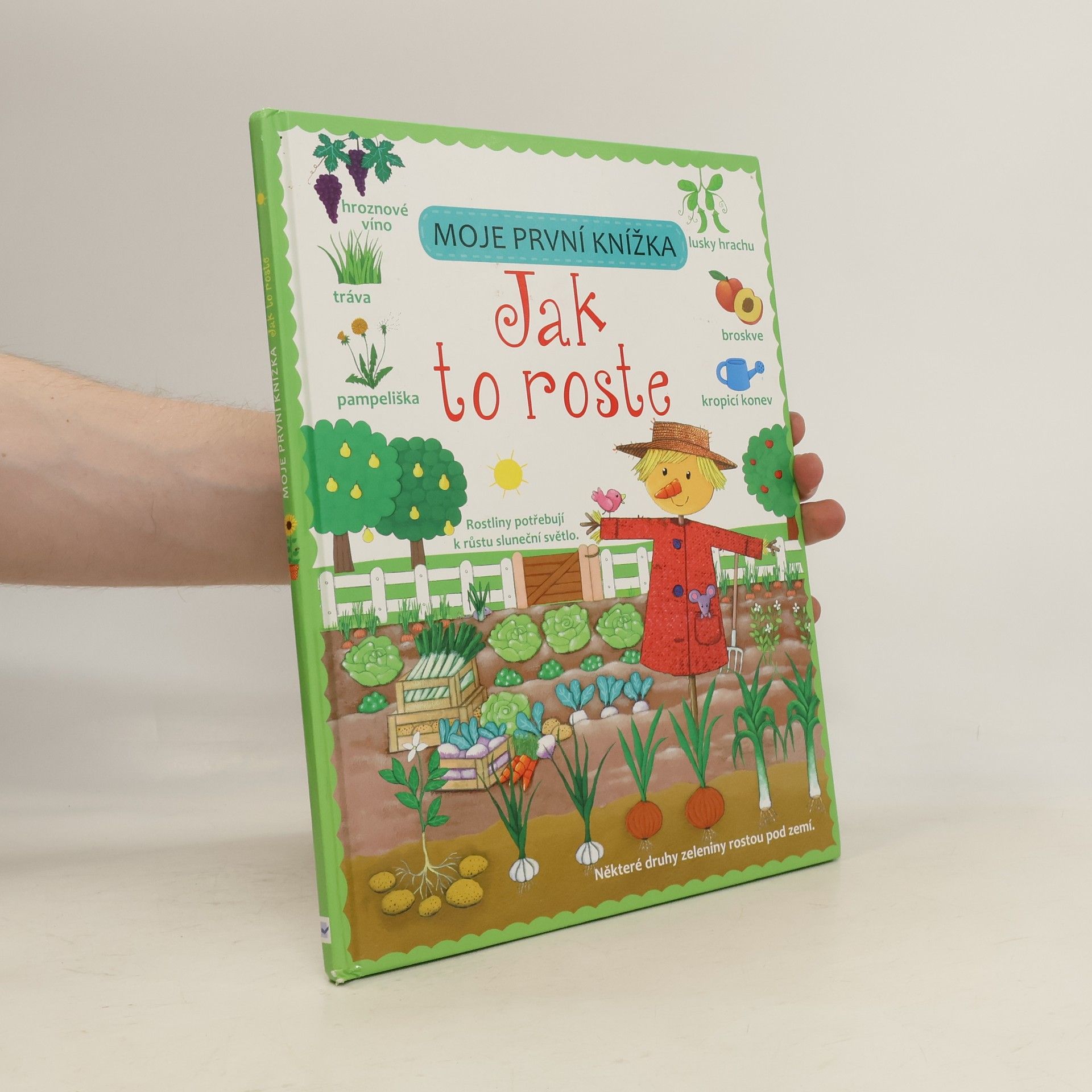 Felicity Brooks Moje první knížka. Jak to roste