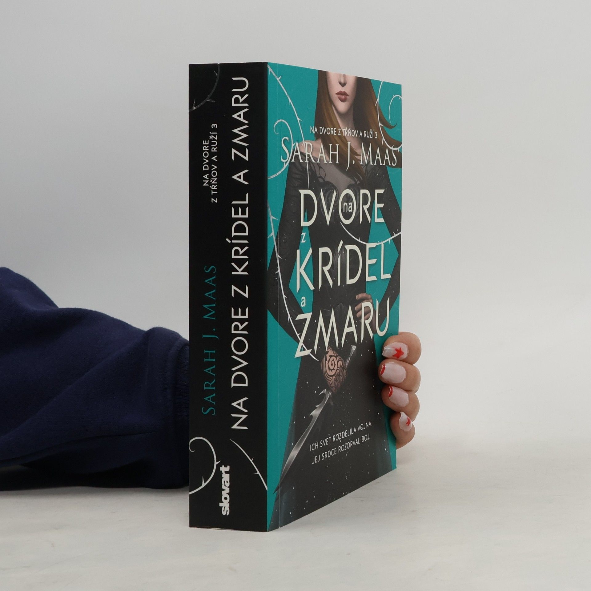 Sarah J. Maas Na dvore z krídel a zmaru