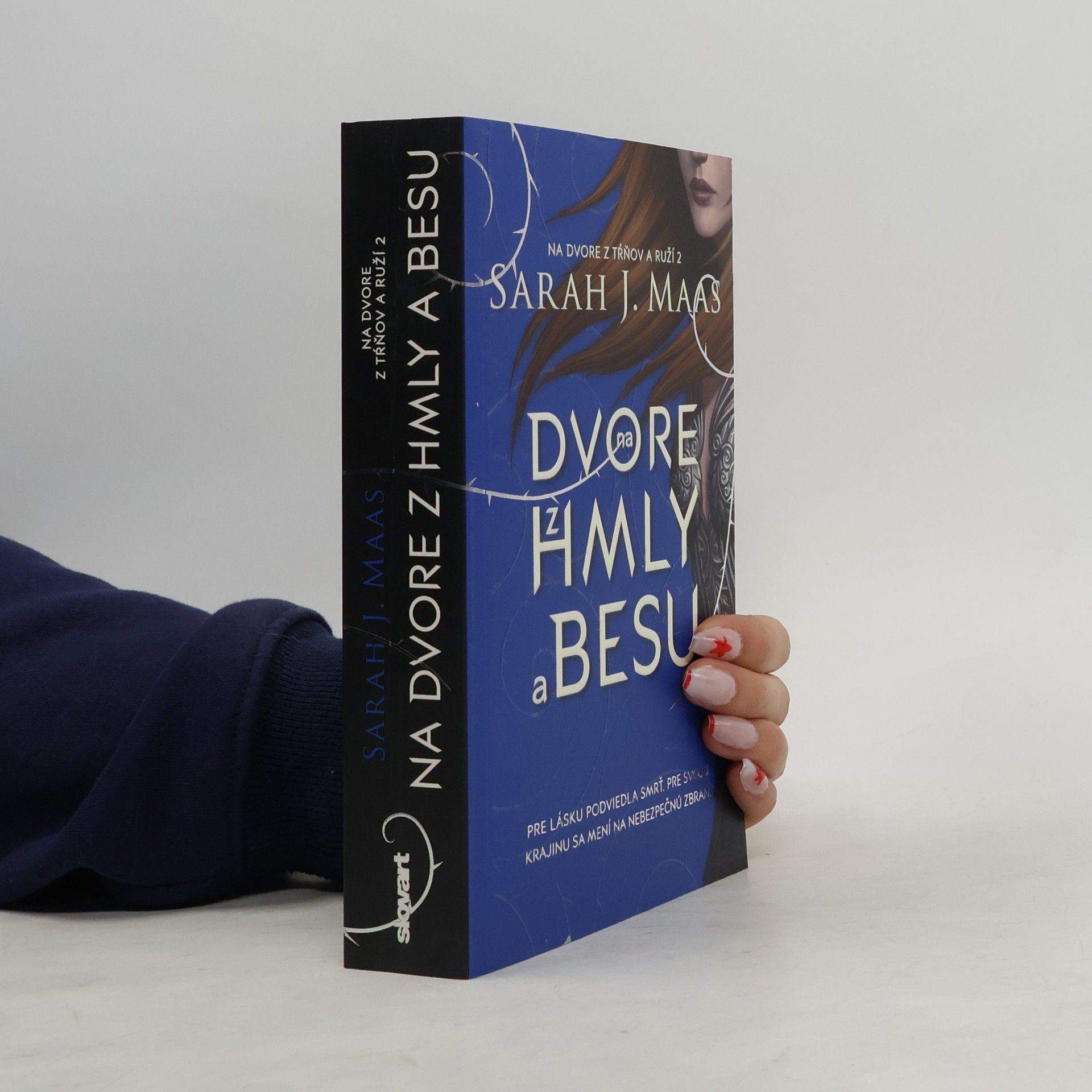 Sarah J. Maas Na dvore z hmly a besu