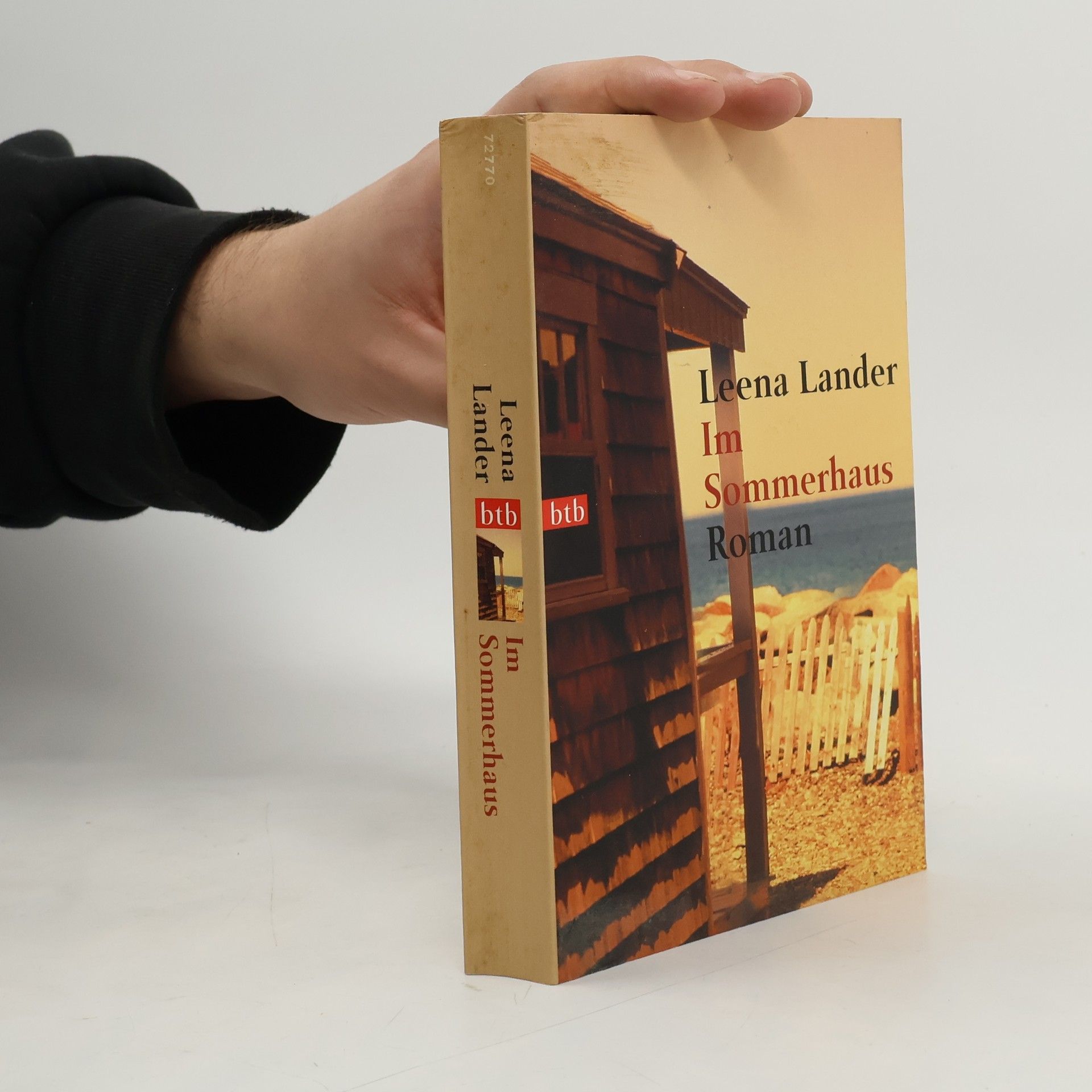 Leena Lander Im Sommerhaus