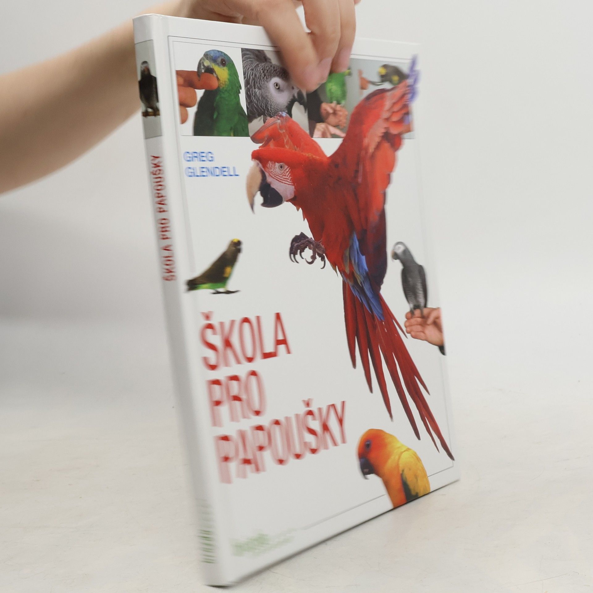 Škola pro papoušky