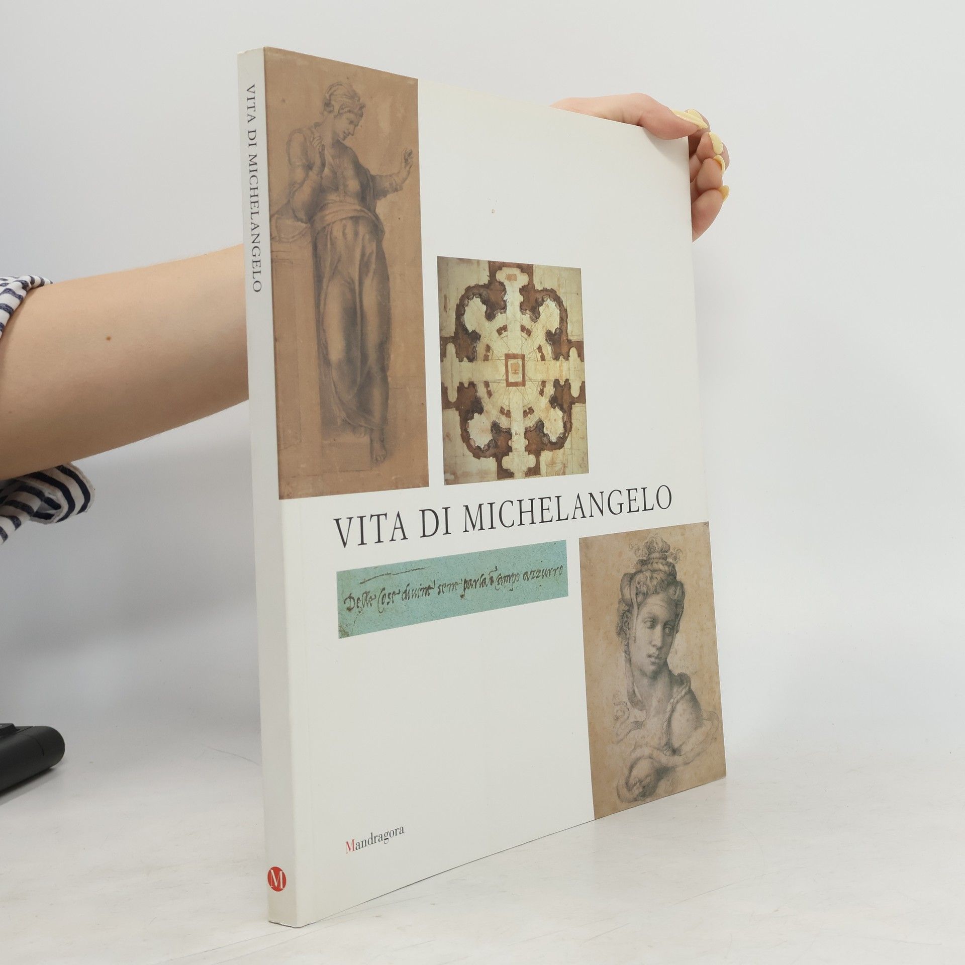 Michelangelo Buonarroti Vita di Michelangelo: Catalogo della mostra (Firenze, 18 luglio 2001-7 gennaio 2002)