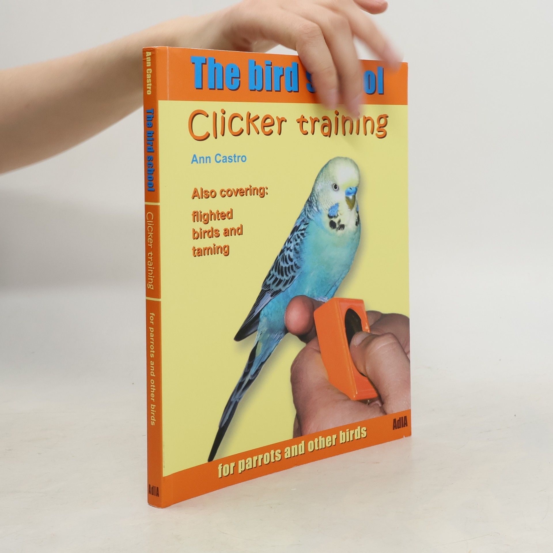 Ann Castro The Bird School