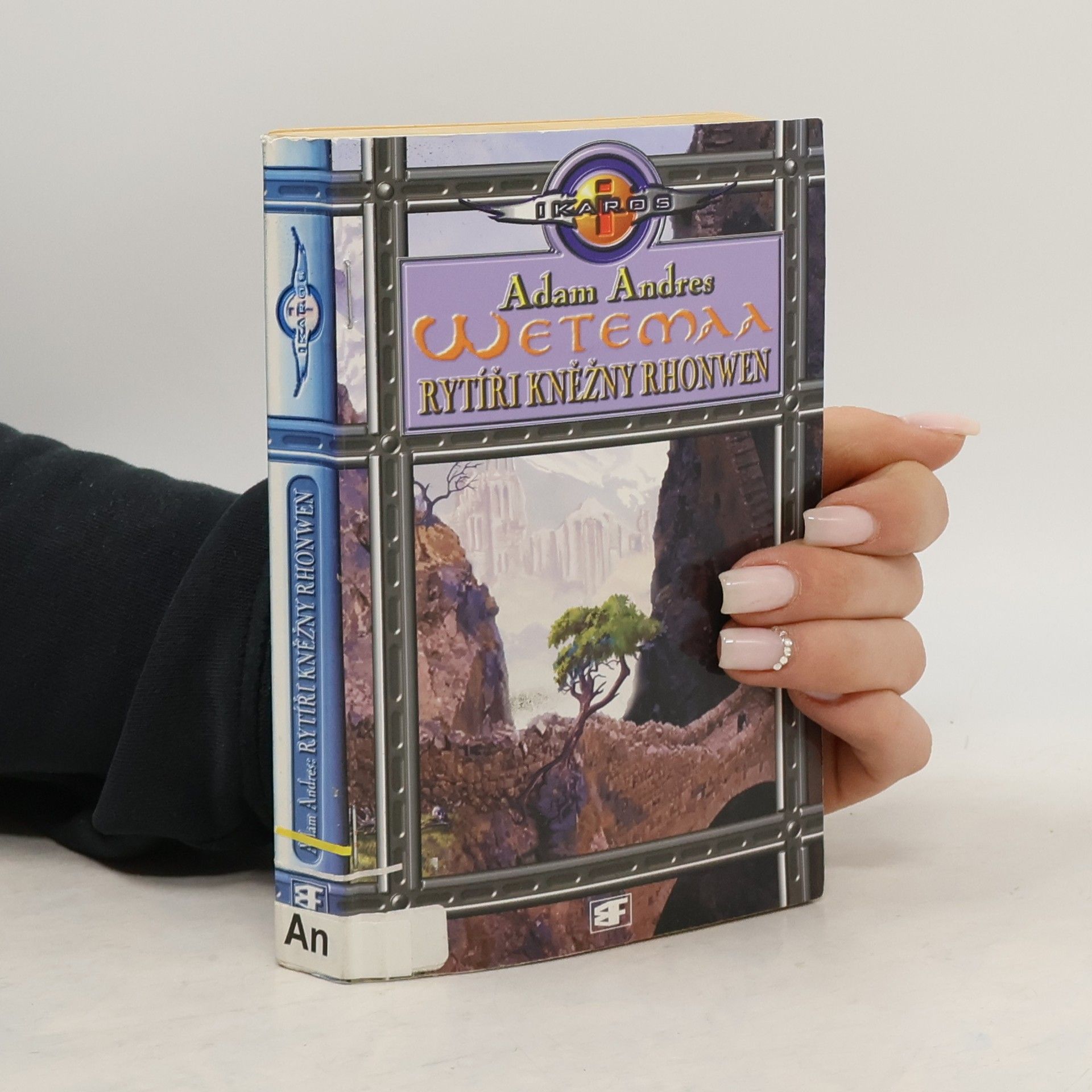 Rytíři kněžny Rhonwen