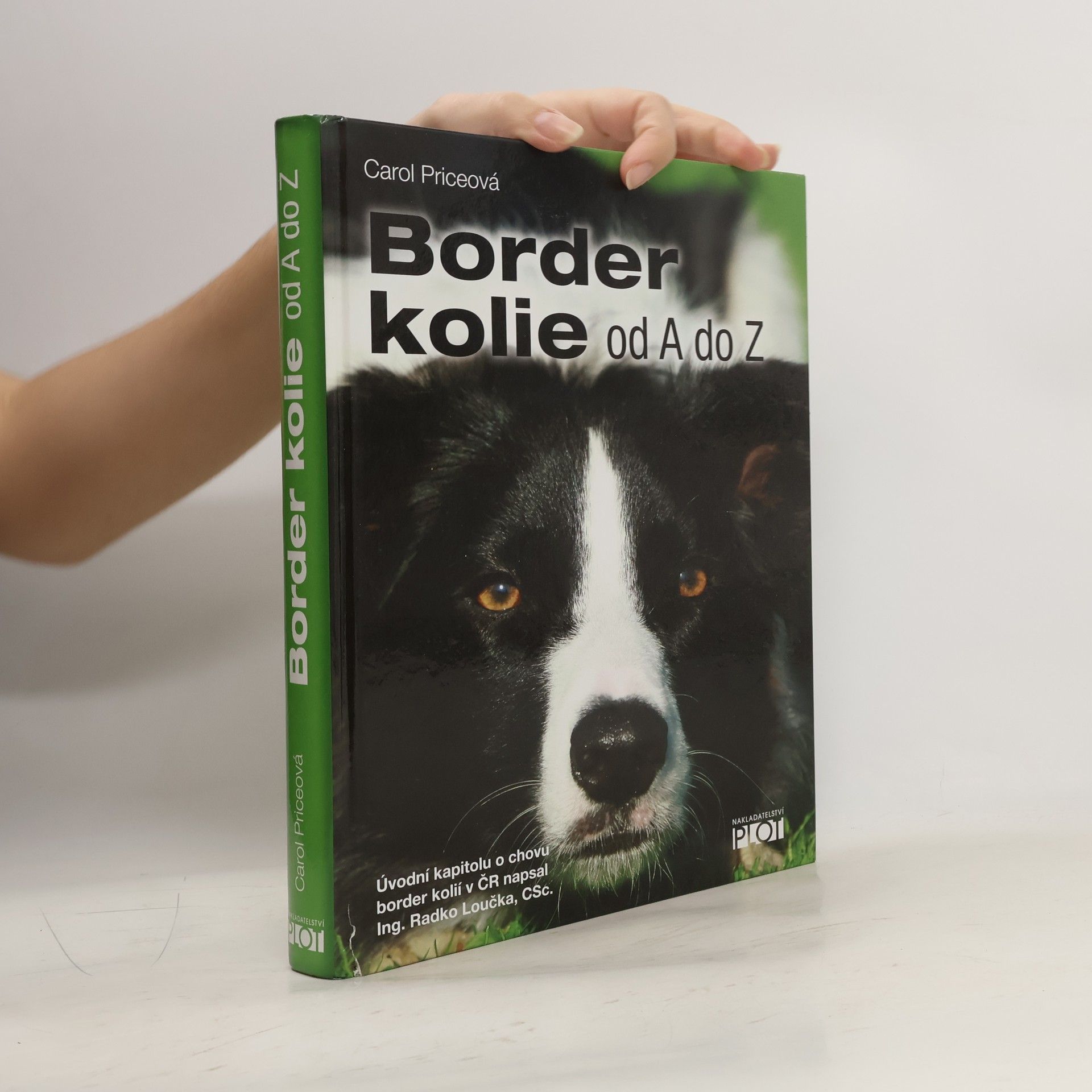 Carol Price Border kolie od A do Z