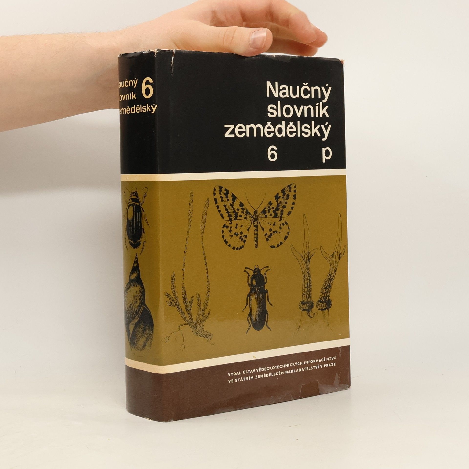 Autorenkollektiv Naučný slovník zemědělský 6 - P