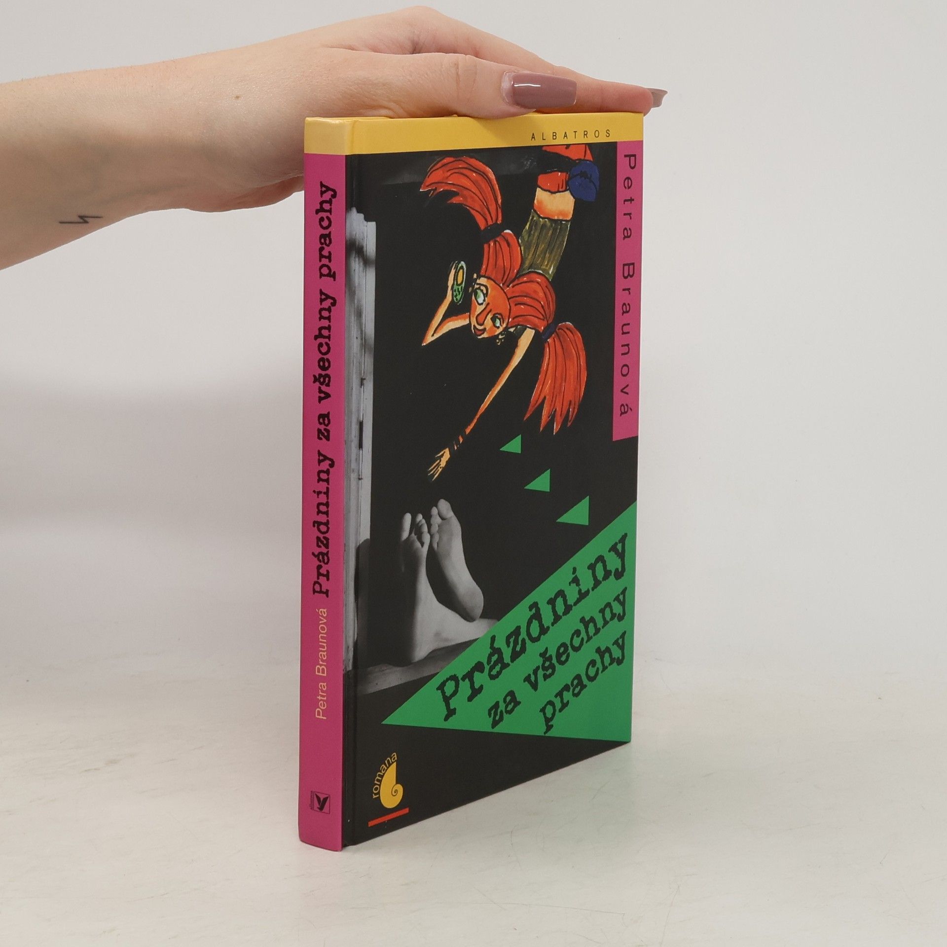 Petra Braun Groh Prázdniny za všechny prachy