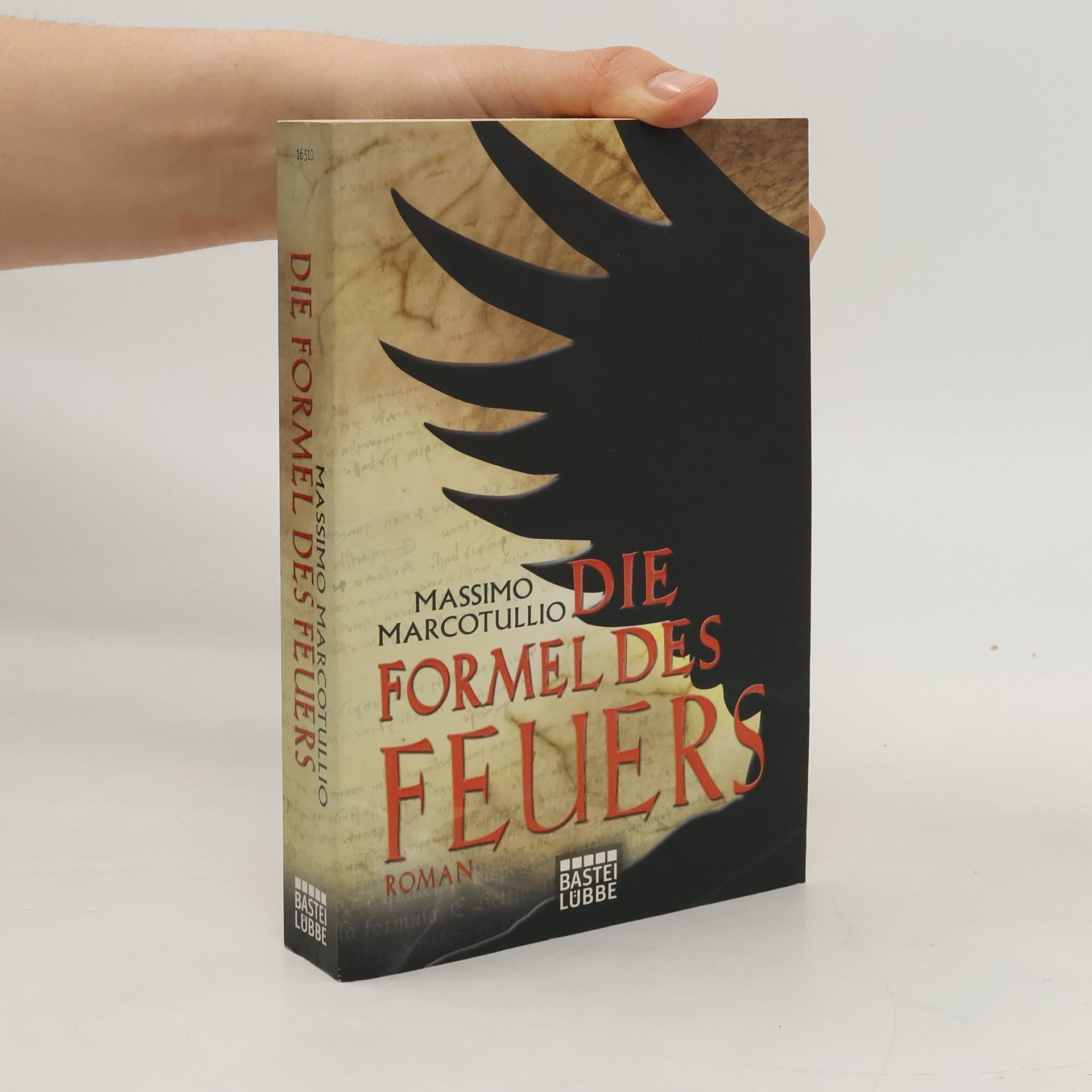 Massimo Marcotullio Die Formel des Feuers