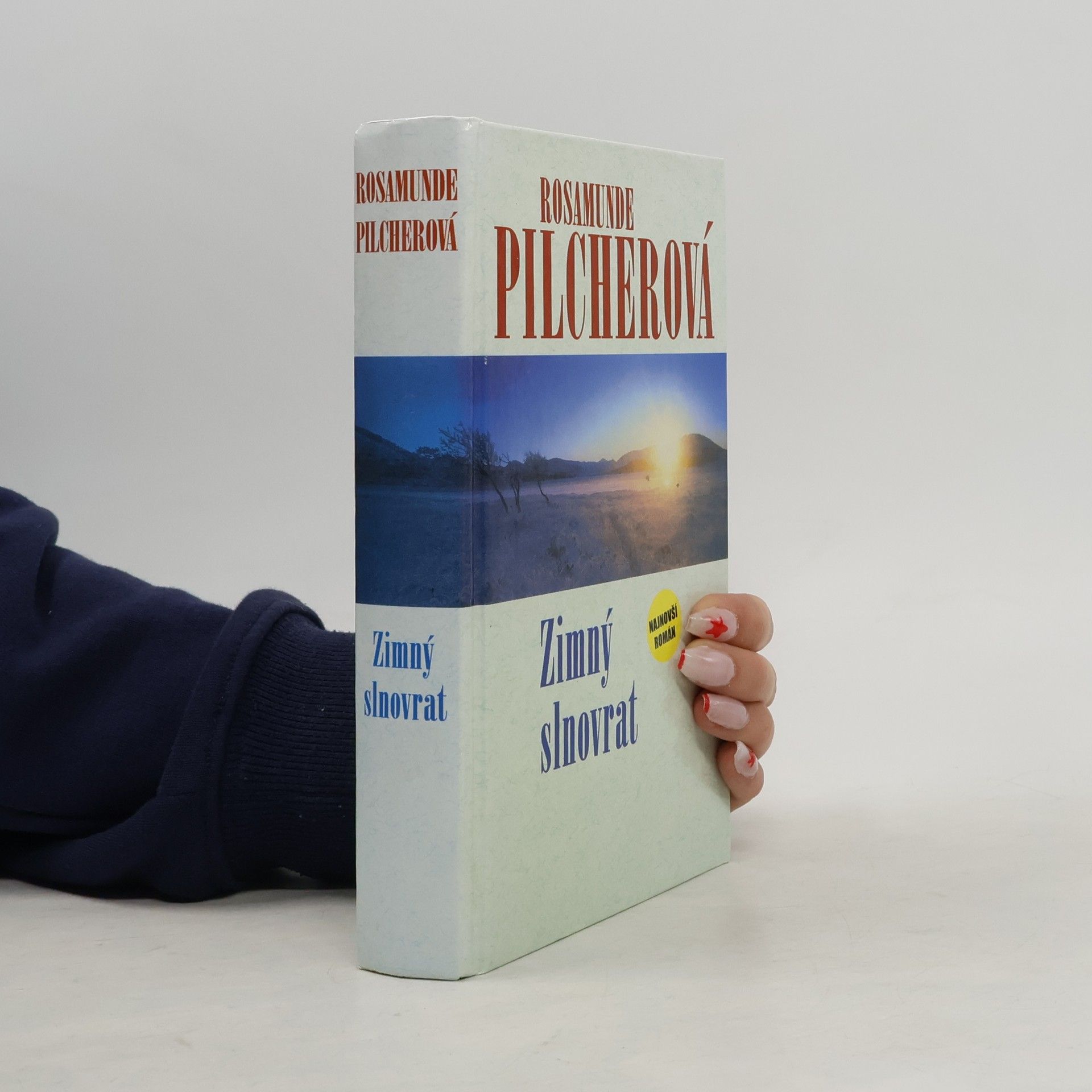 Rosamunde Pilcher Zimný slnovrat