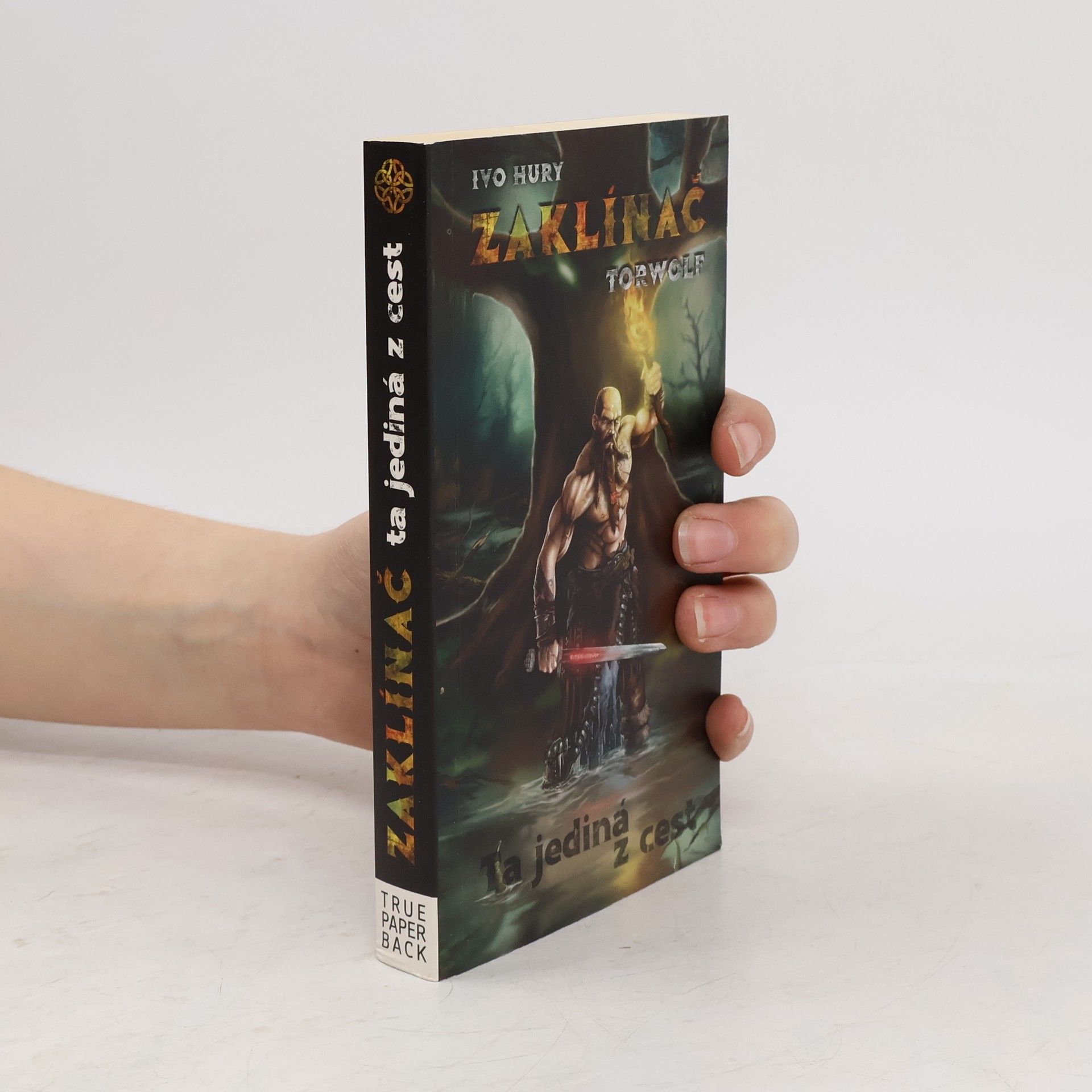 Ivo Hury Ta jediná z cest