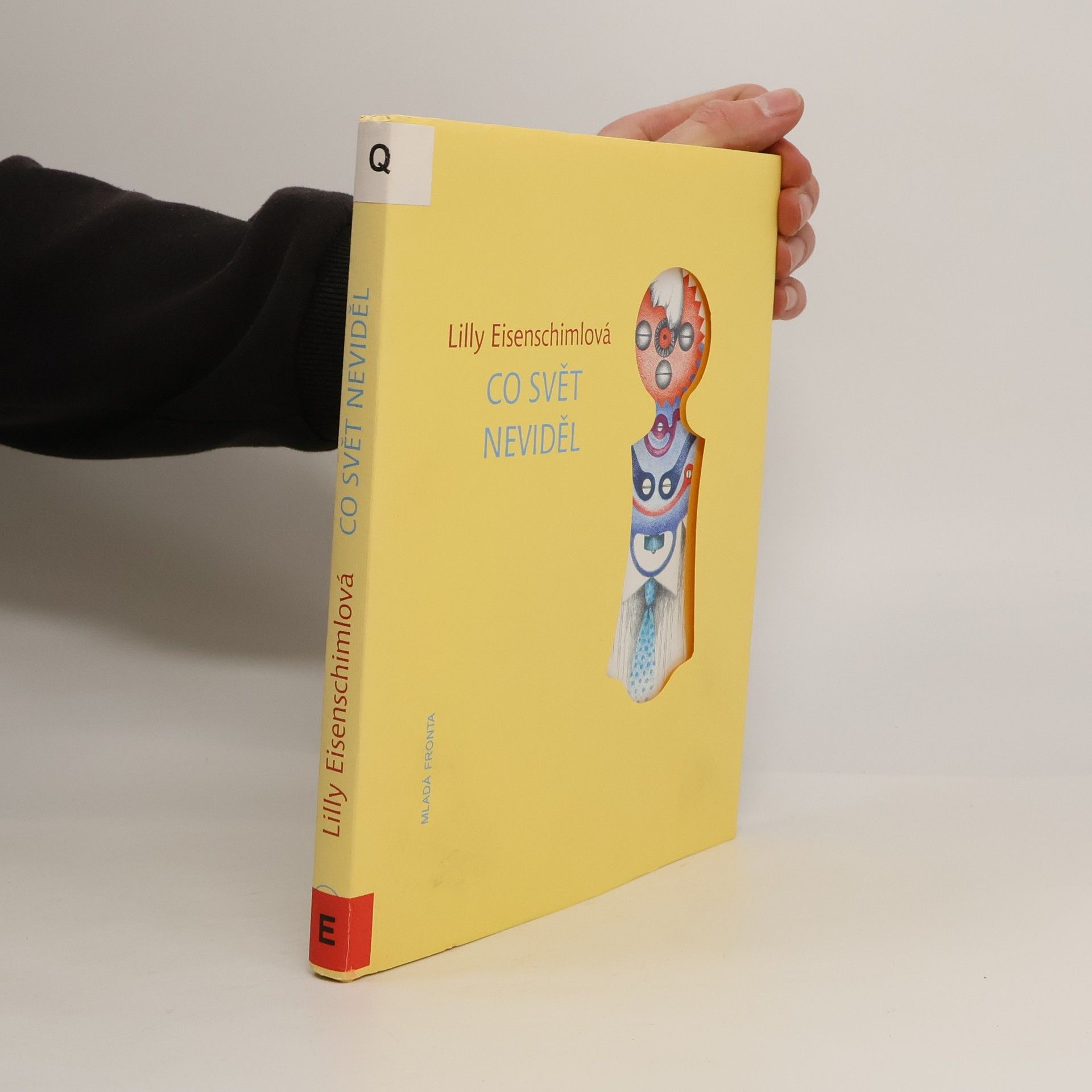 Lilly Eisenschimlová Co svět neviděl