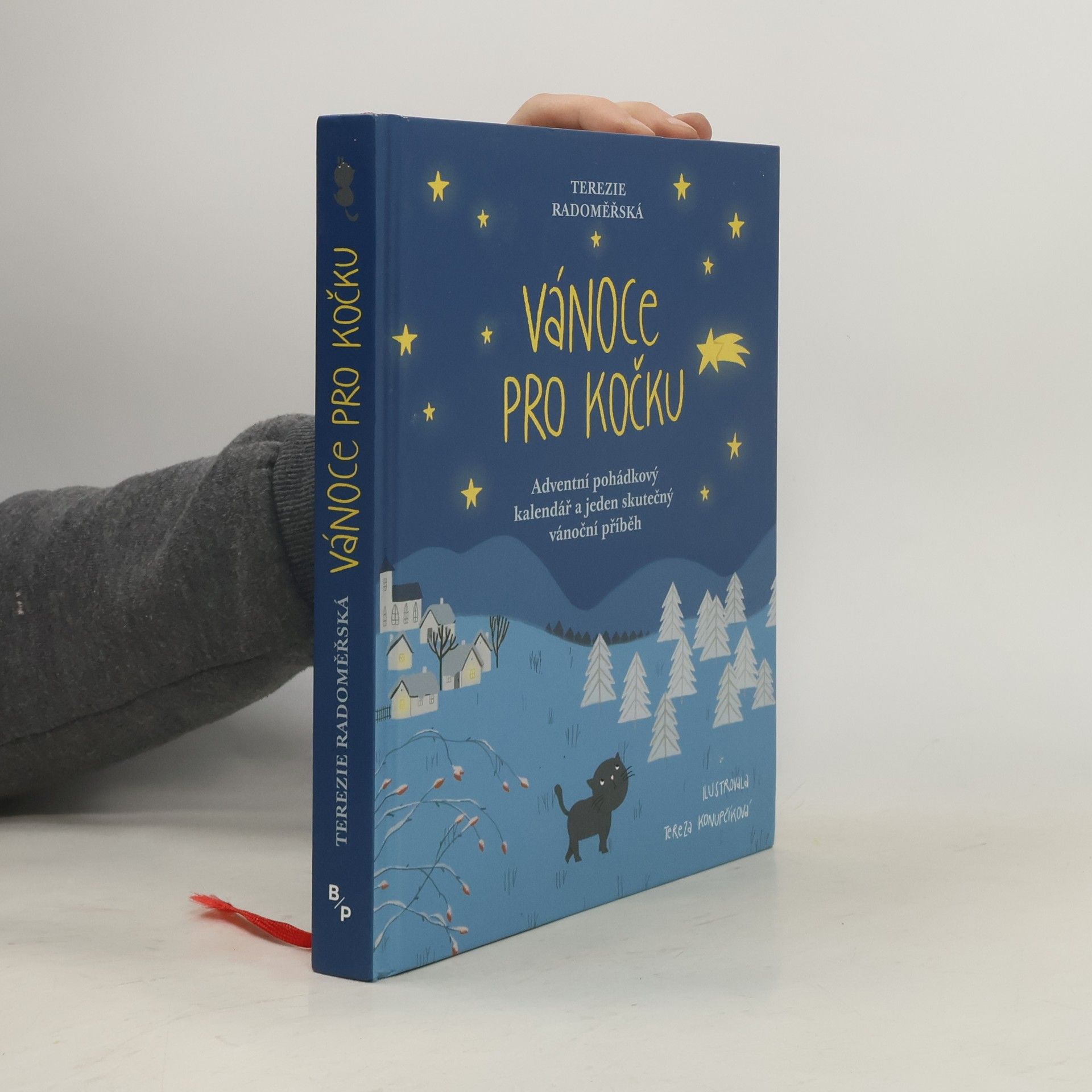 Terezie Radoměřská Vánoce pro kočku