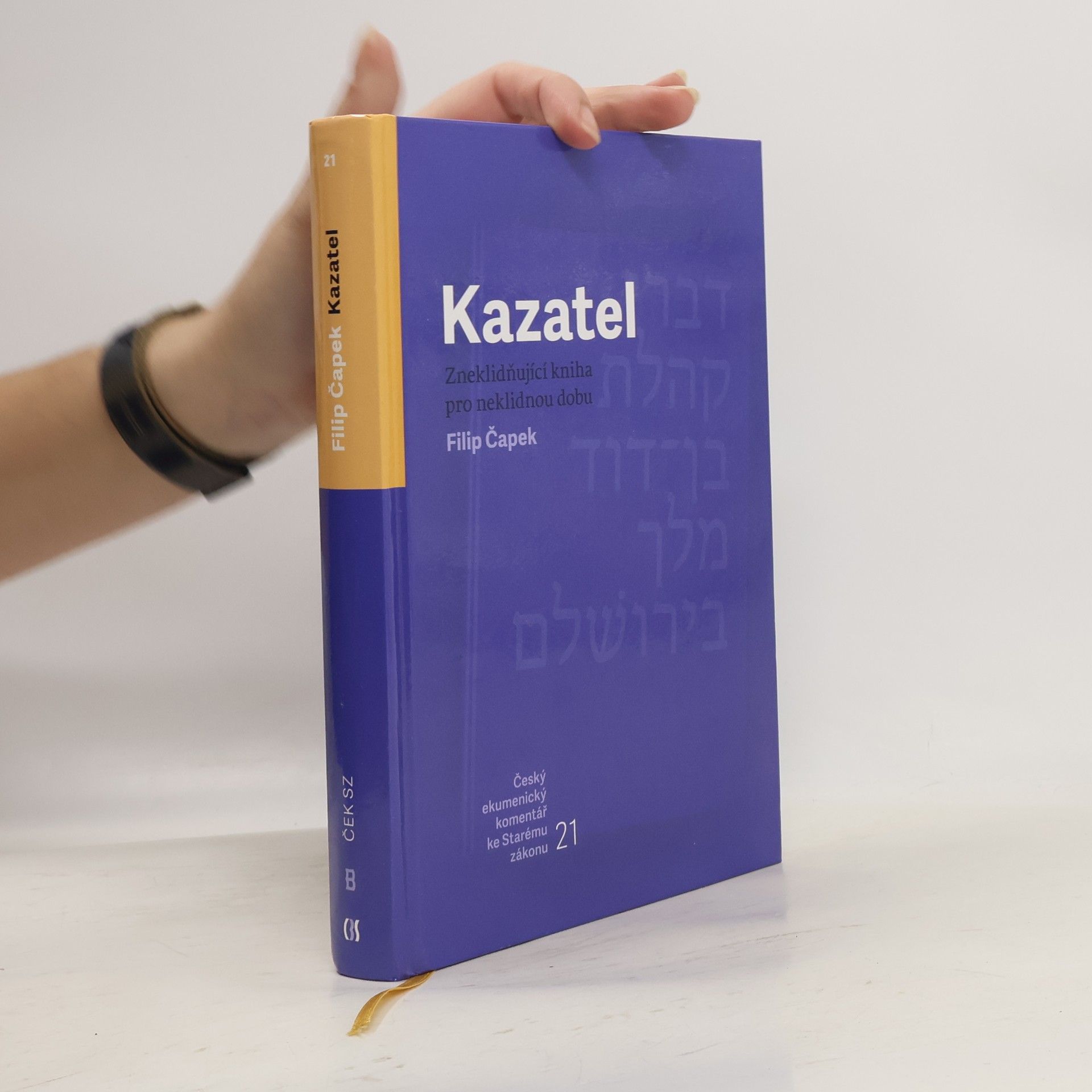 Filip Čapek Kazatel : Zneklidňující kniha pro neklidnou dobu