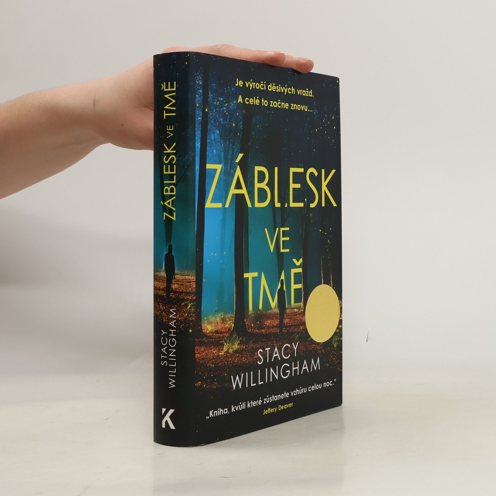 Stacy Willingham Záblesk ve tmě