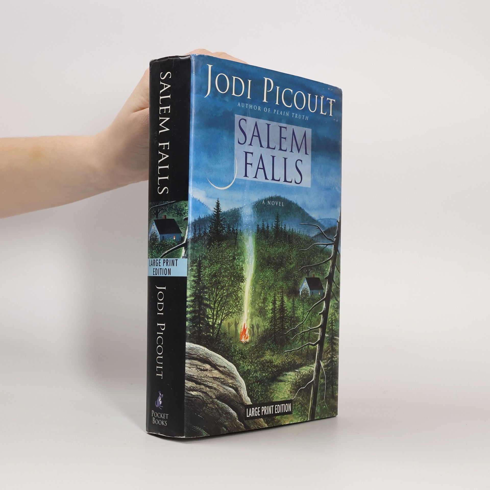 Jodi Picoult Salem Falls - Large Print Edition