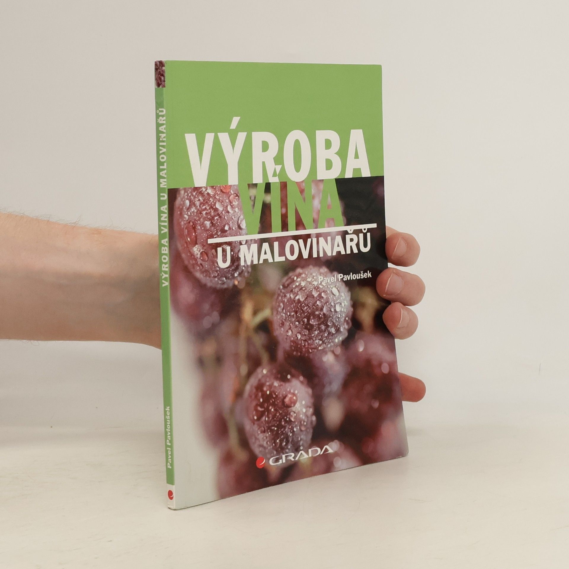 Pavel Pavloušek Výroba vína u malovinařů