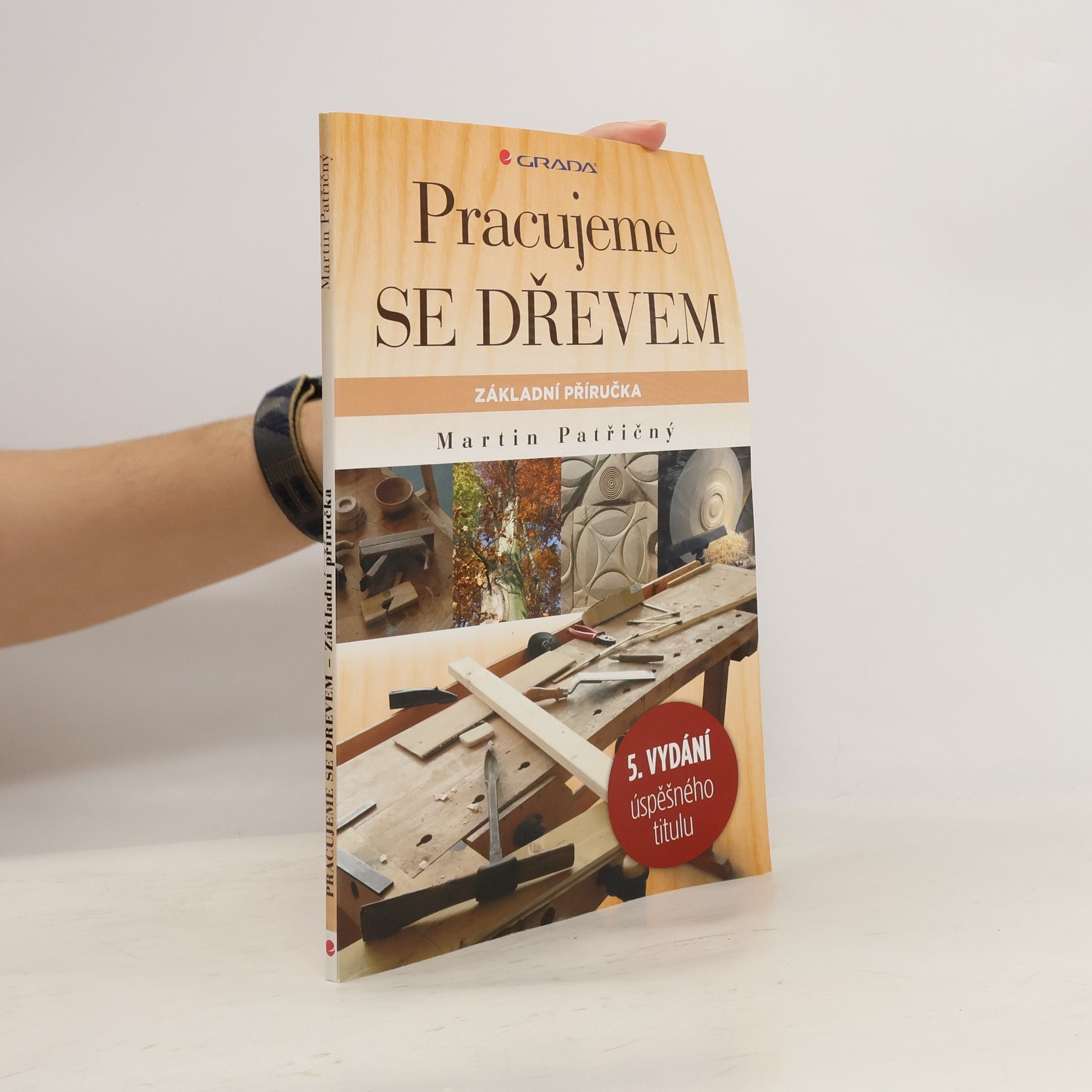 Martin Patřičný Pracujeme se dřevem. Základní příručka