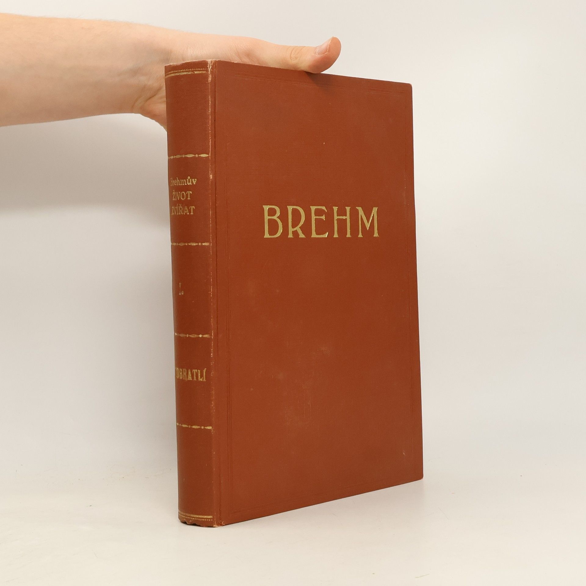 kolektiv Brehmův Život zvířat 1. Bezobratlí