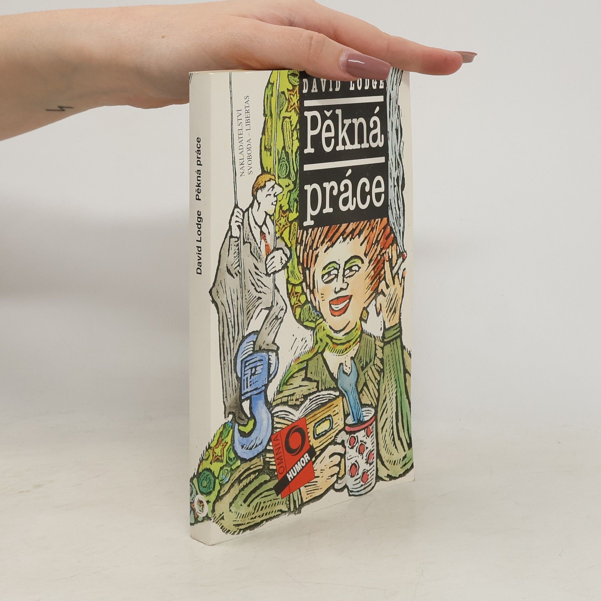 David Lodge Pěkná práce