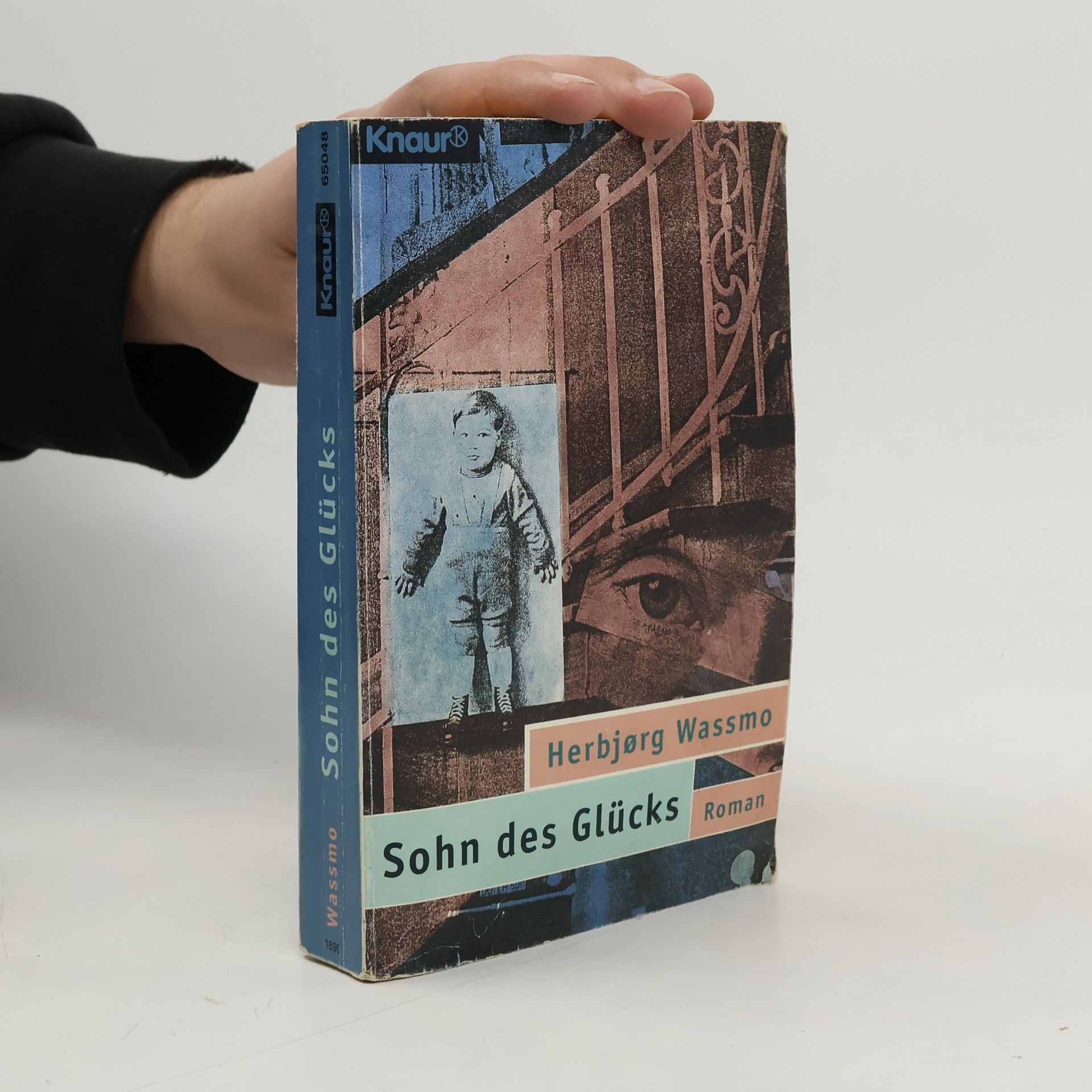 Herbjørg Wassmo Sohn des Glücks