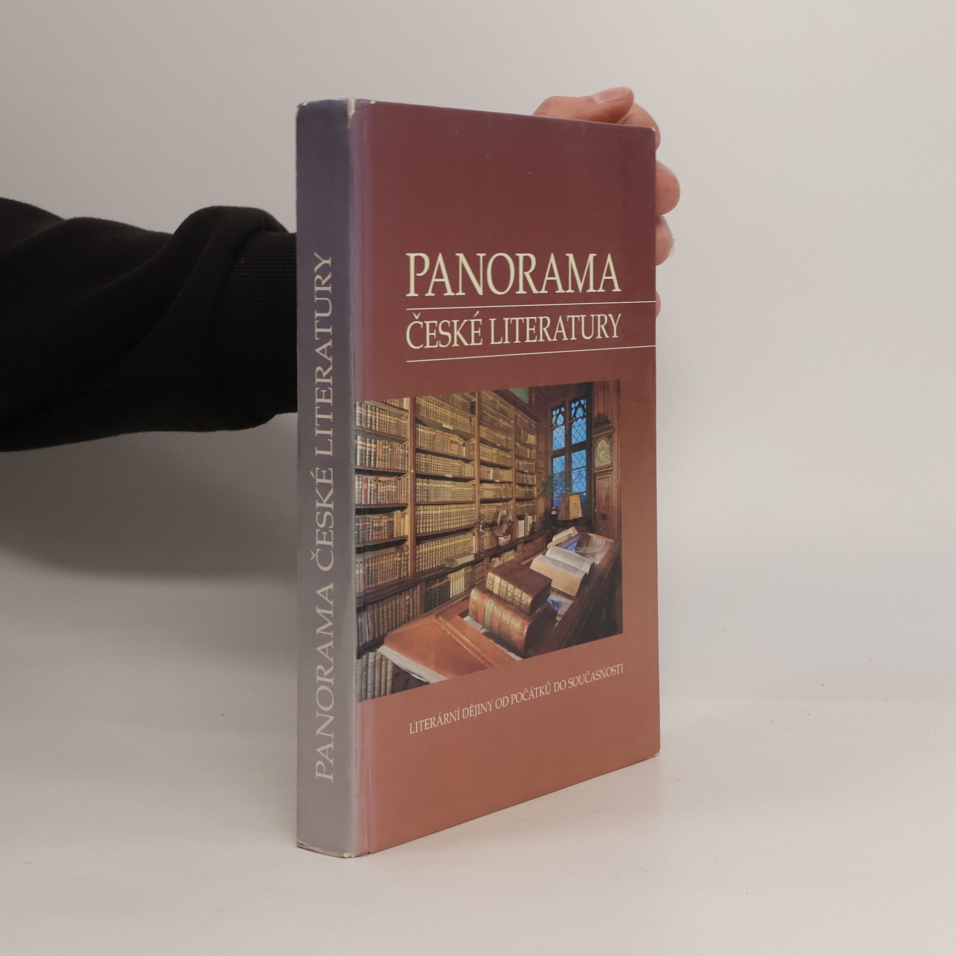 Josef Galík Panorama české literatury. Literární dějiny od počátků do současnosti