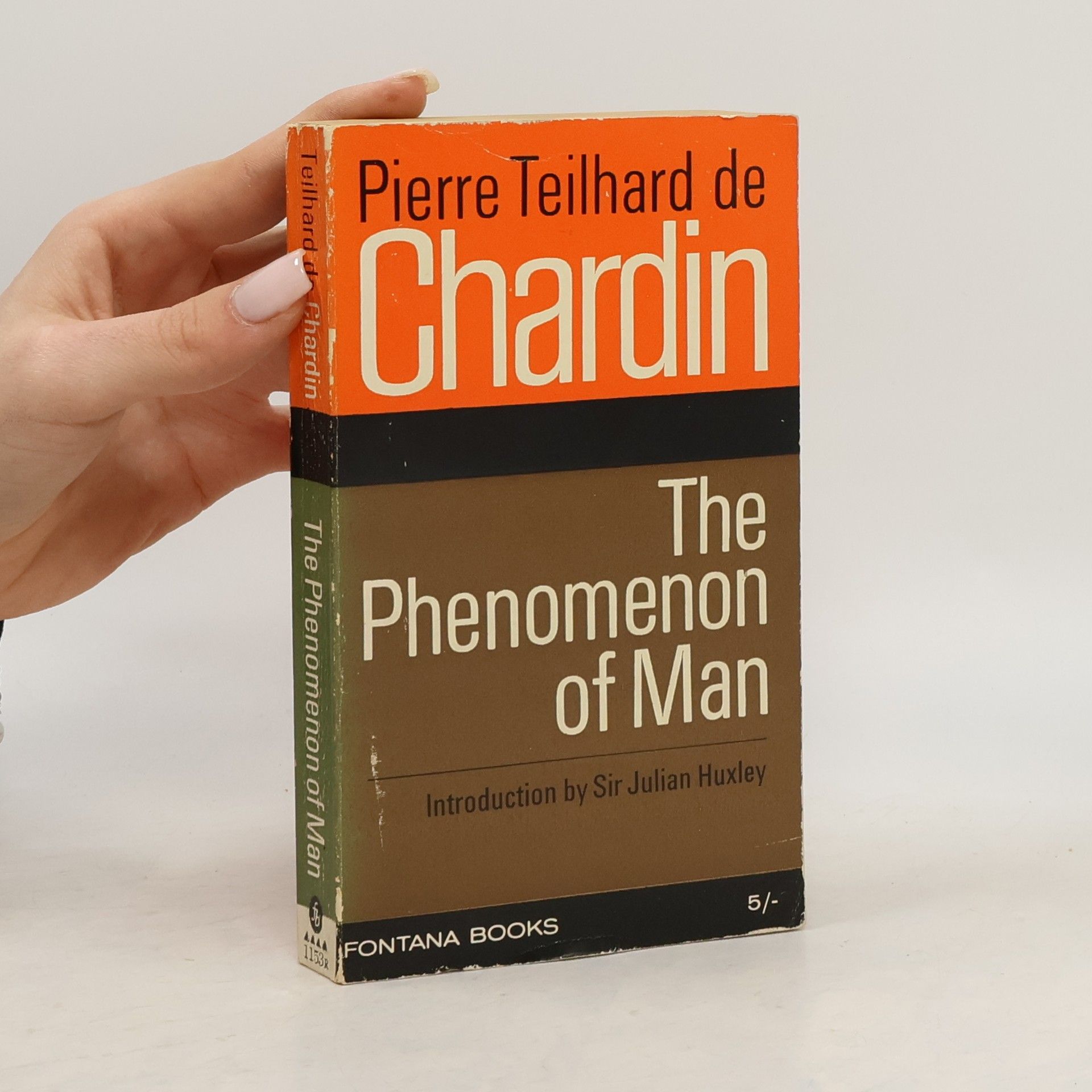 The Phenomenon of Man