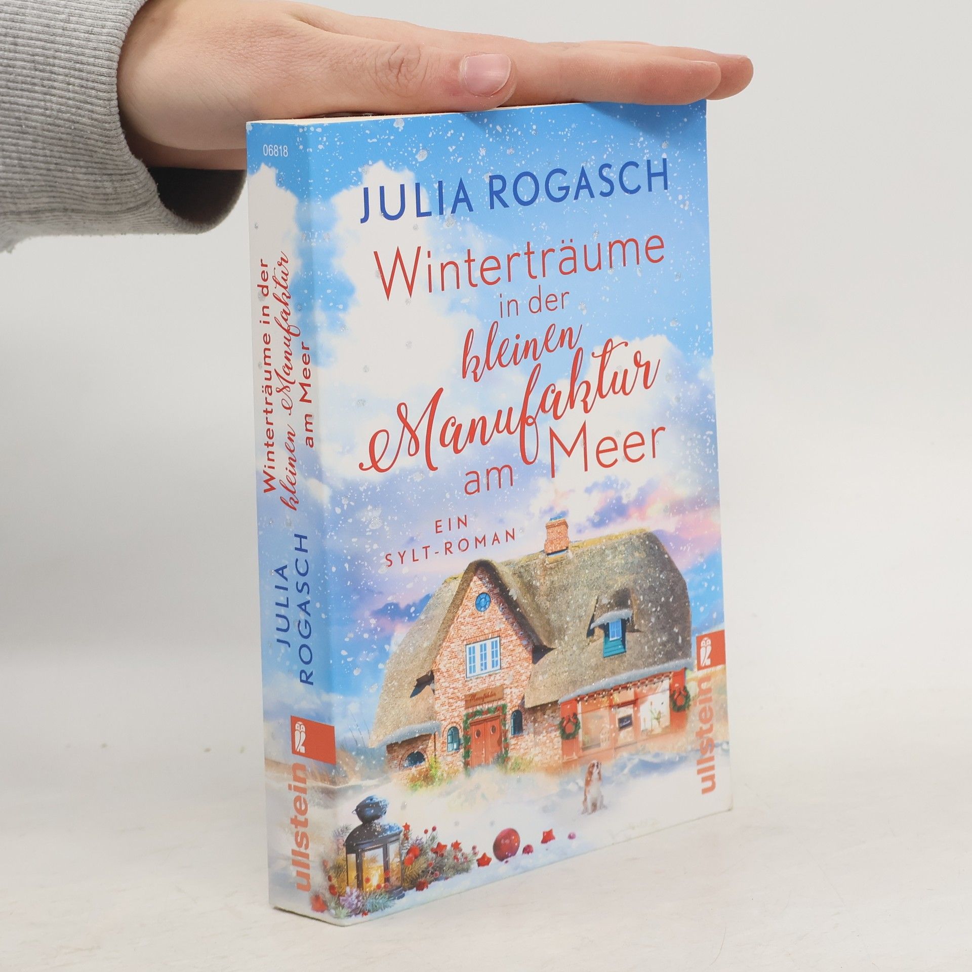 Julia Rogasch Winterträume in der kleinen Manufaktur am Meer