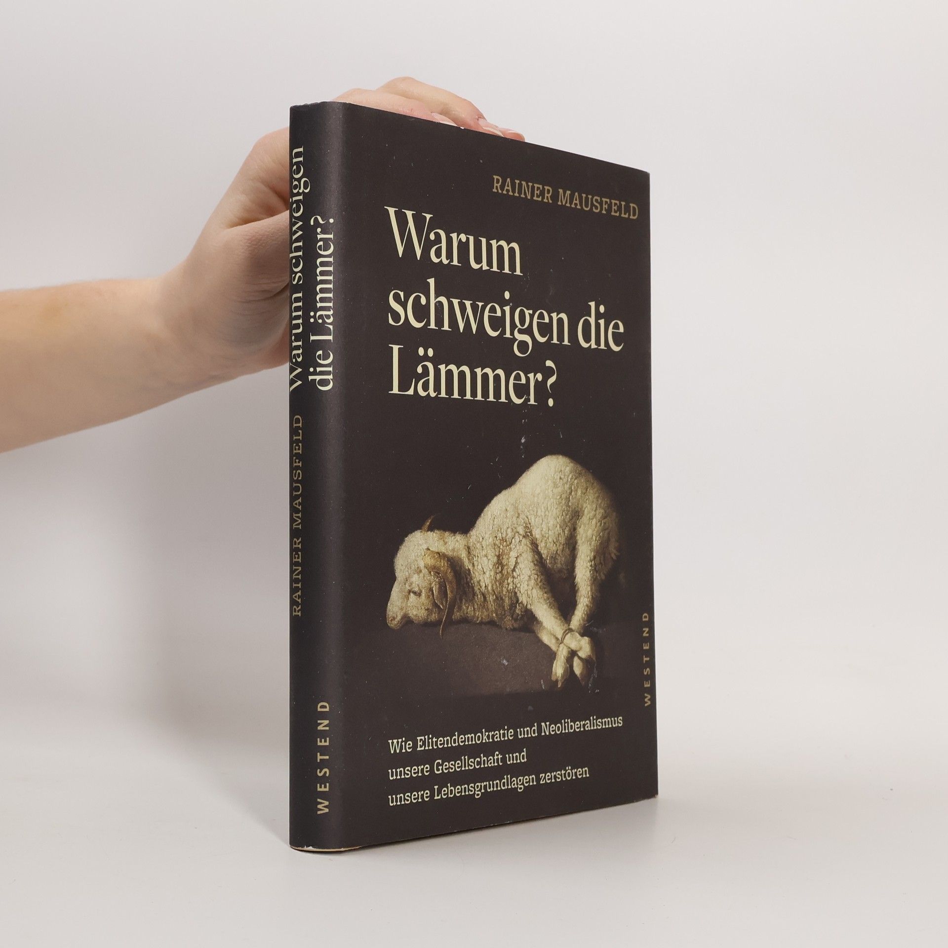 Rainer Mausfeld Warum schweigen die Lämmer?