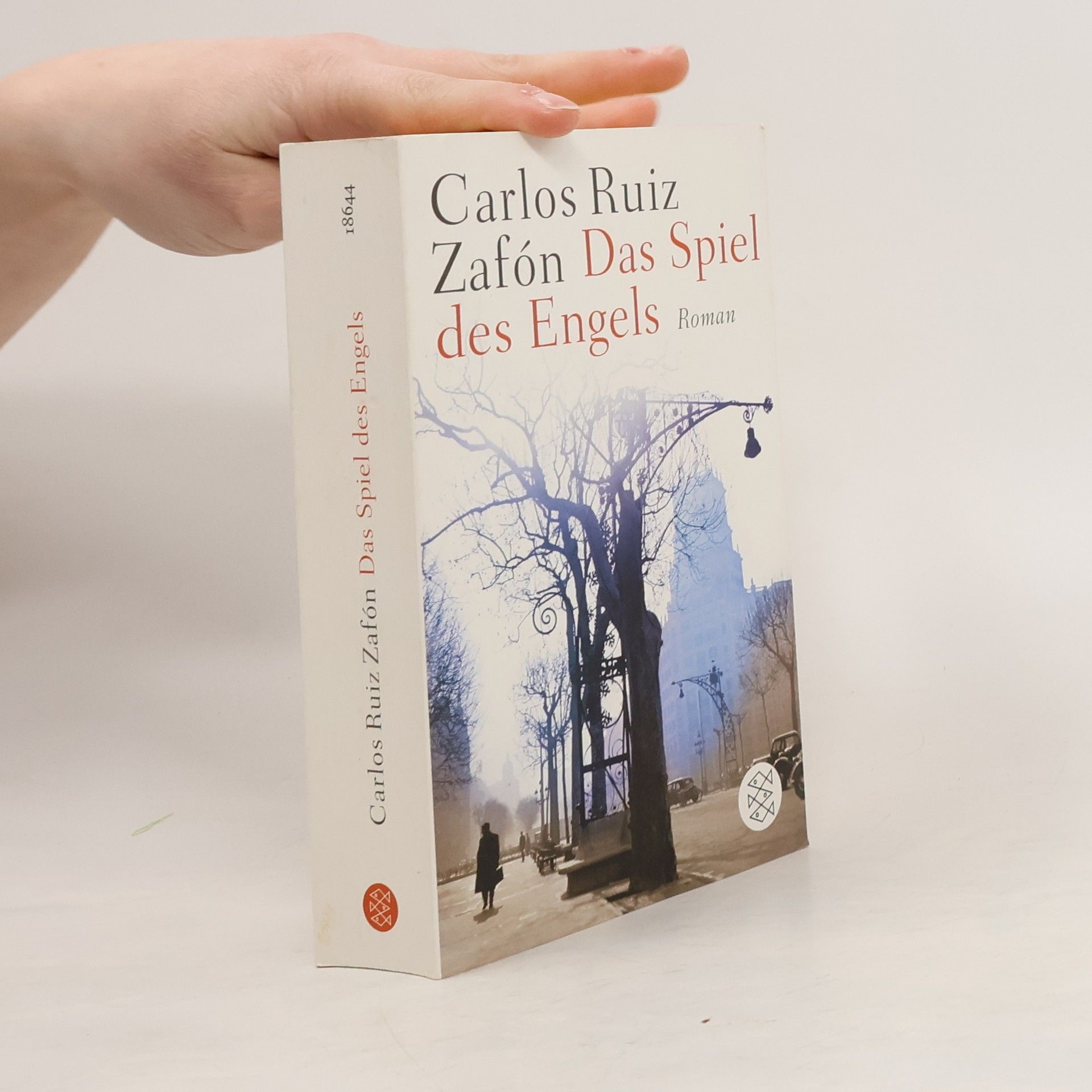Carlos Ruiz Safon Das Spiel des Engels