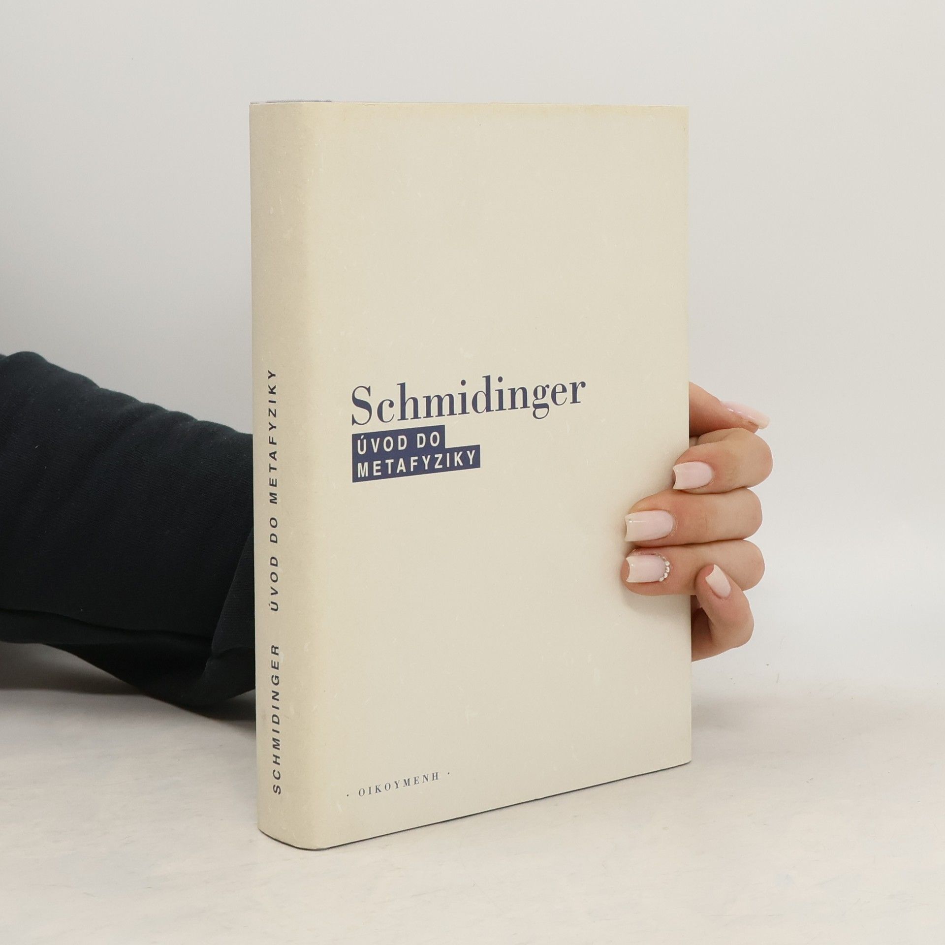 Heinrich Schmidinger Úvod do metafyziky