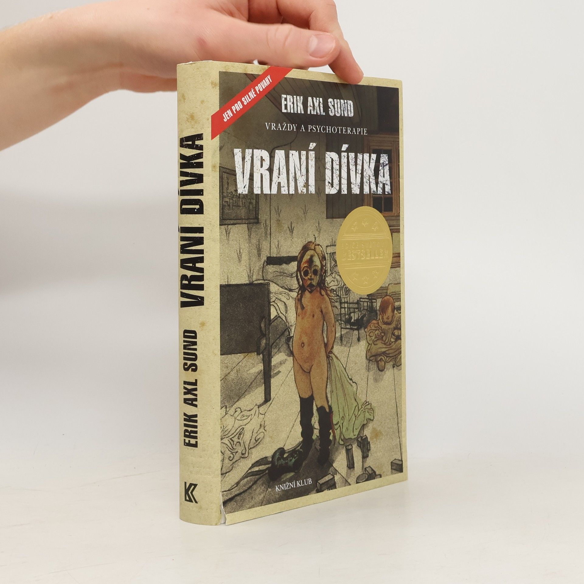 Erik Axl Sund Slabost Victorie Bergmanové. 1. díl. Vraní dívka