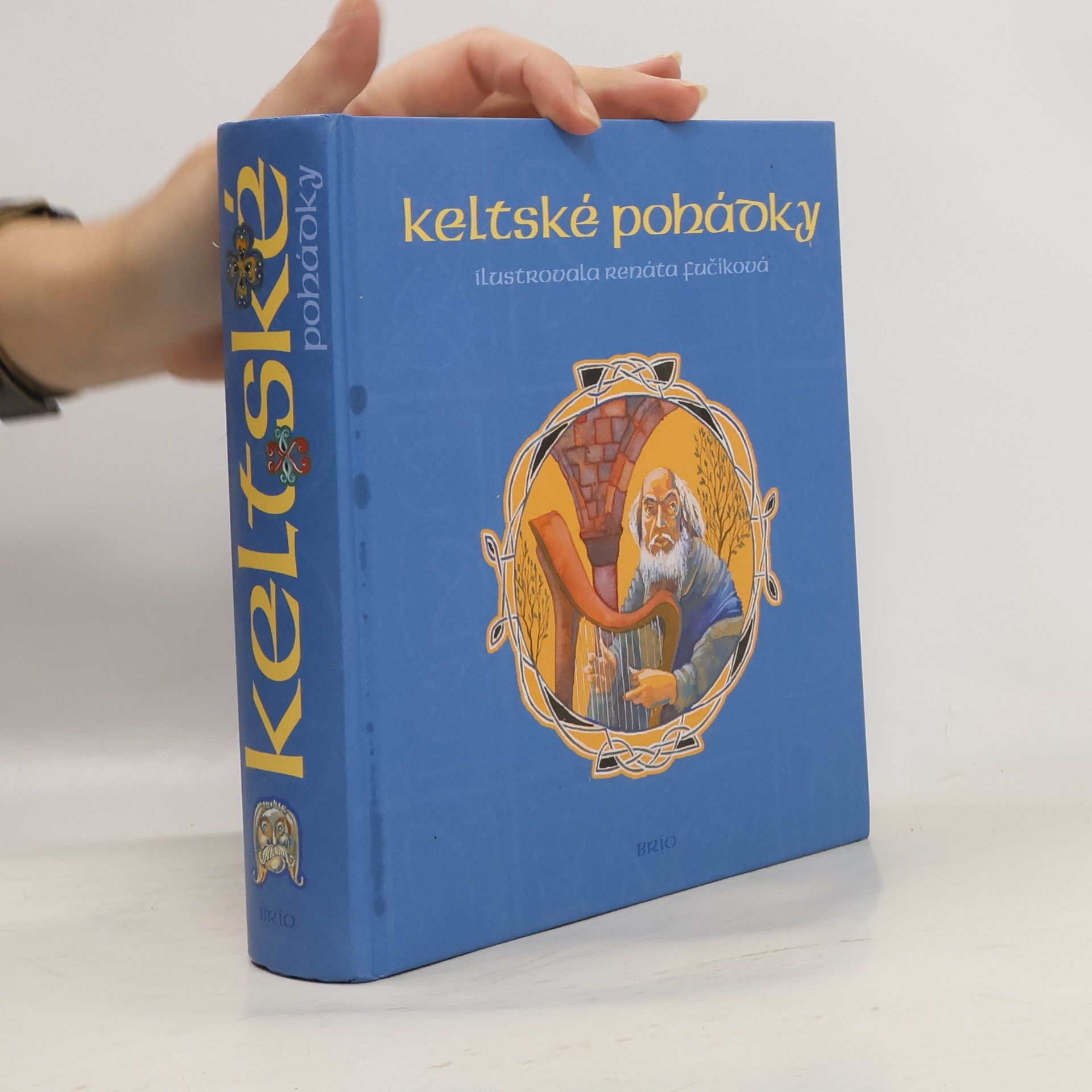Renáta Fučíková Keltské pohádky : [z francouzských literárních zdrojů]
