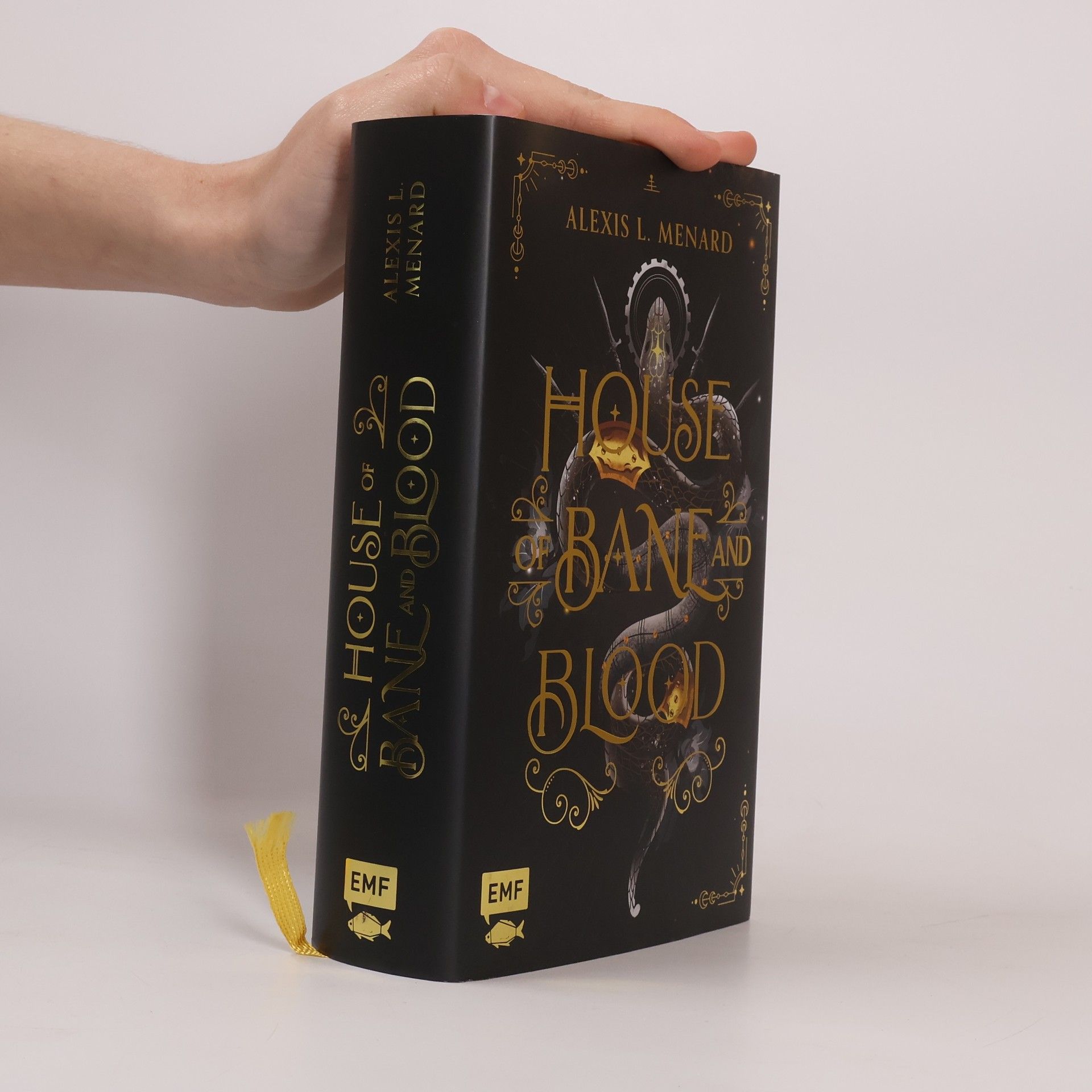 House of Bane and Blood (Order and Chaos, Band 1) – Packende Rivals to Lovers Romantasy