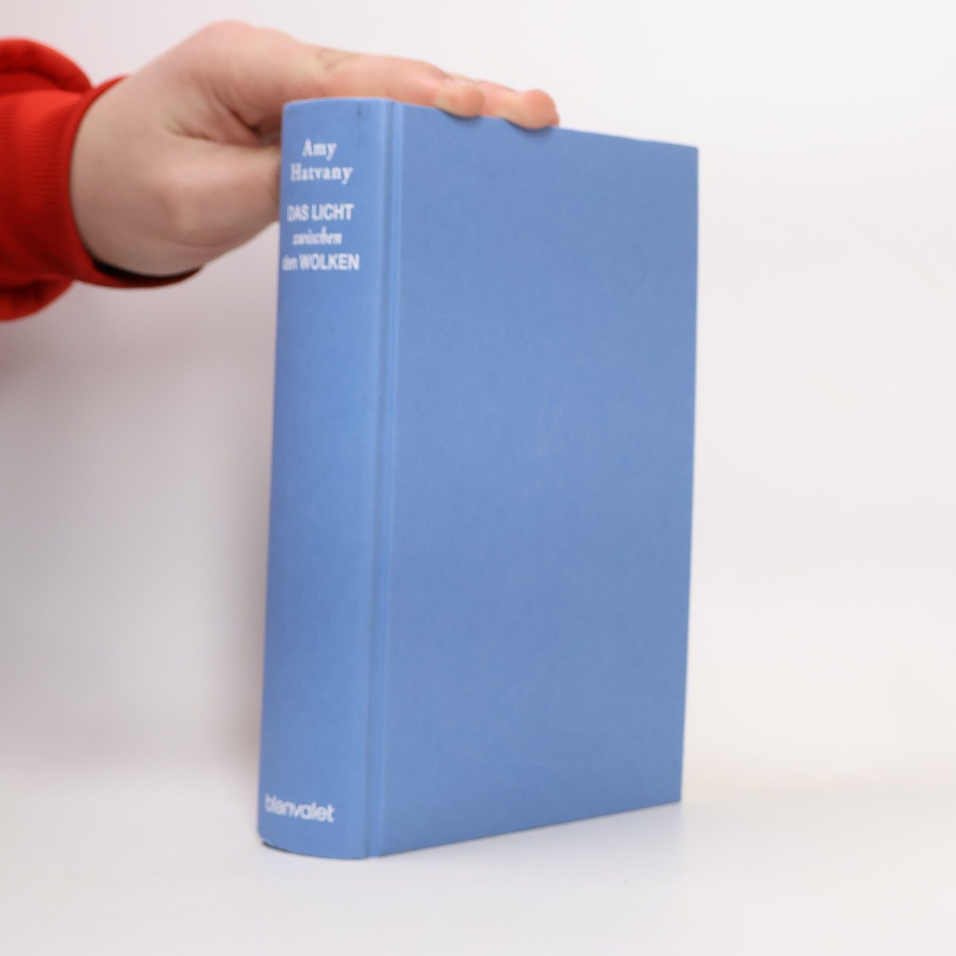 Amy Hatvany Das Licht zwischen den Wolken