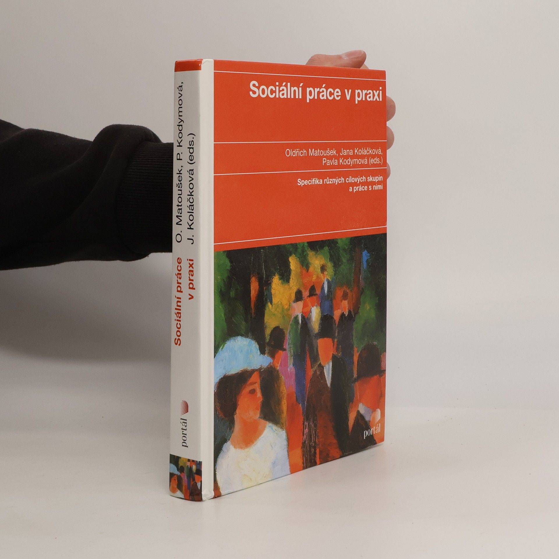 Oldřich Matoušek Sociální práce v praxi: Specifika různých cílových skupin a práce s nimi