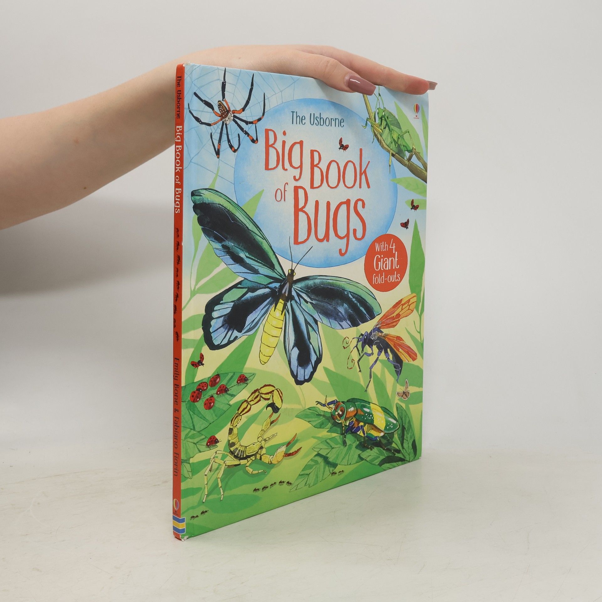 Emily Bone The Usborne Big Book of Bugs