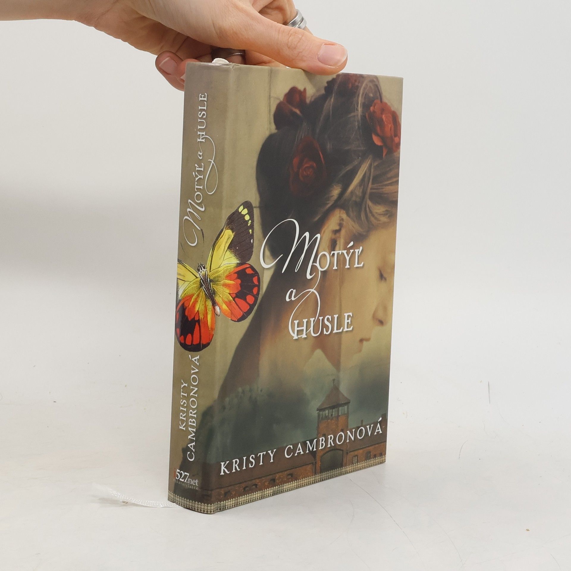 Kristy Cambron Motýl a husle