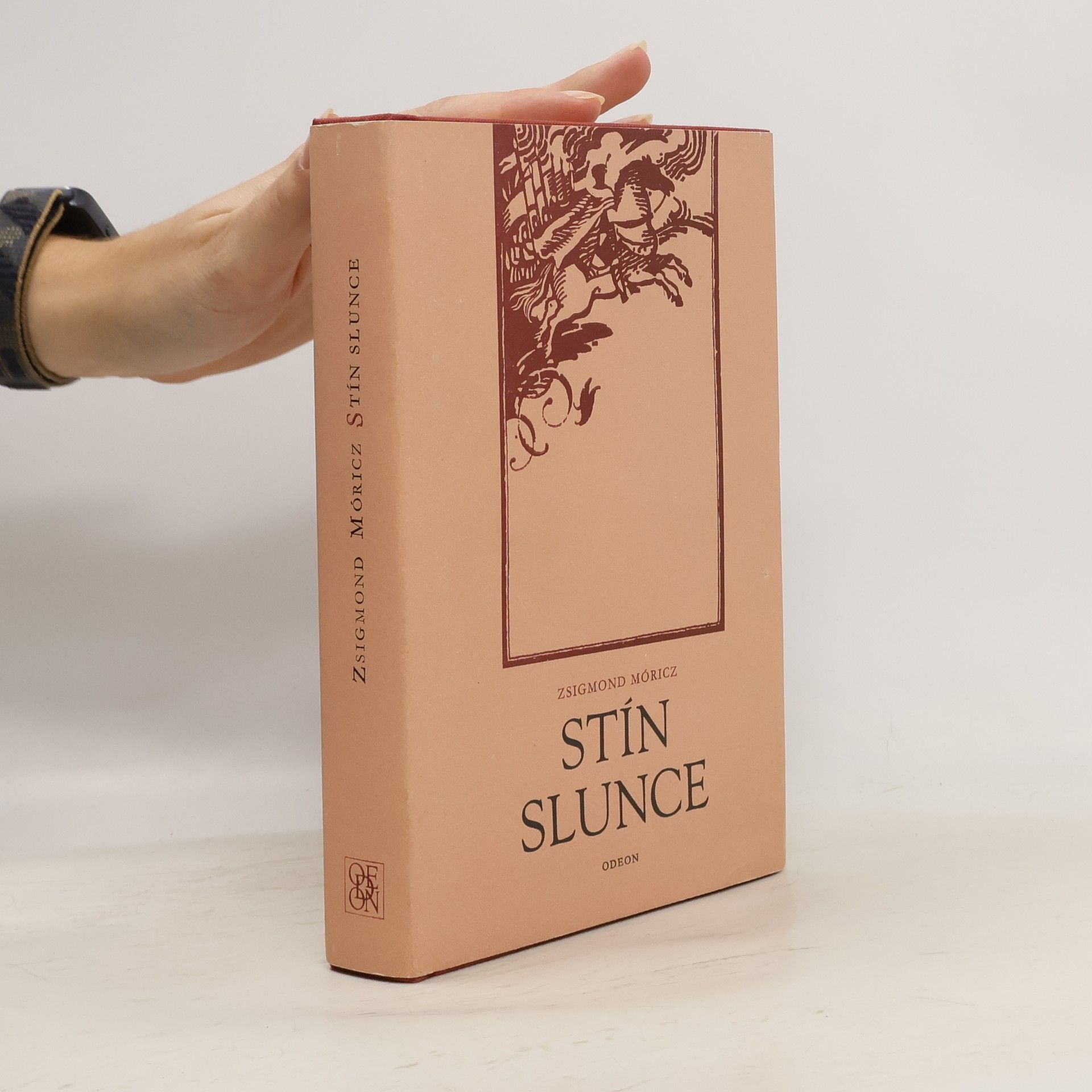 Zsigmond Móricz Stín slunce