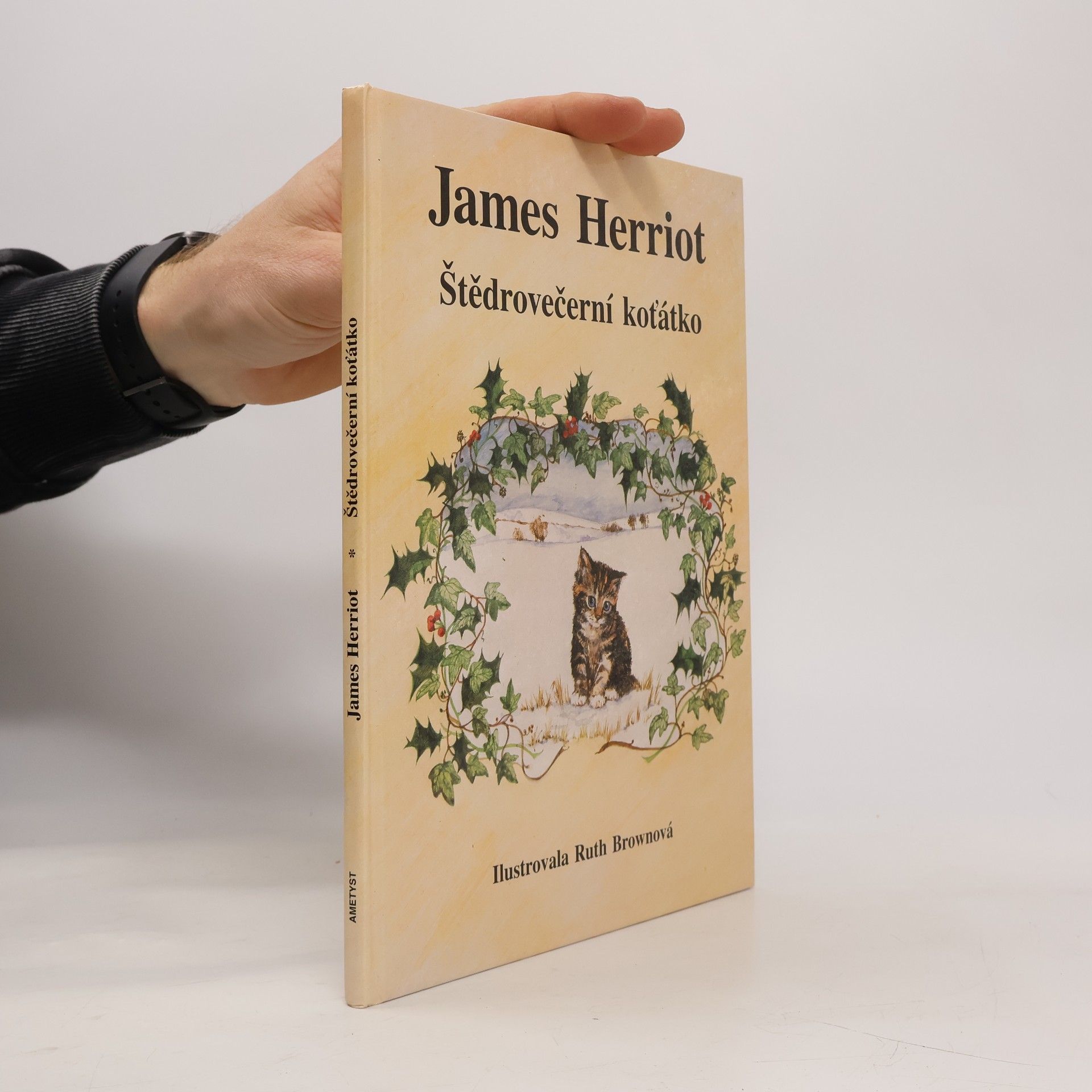 Štědrovečerní koťátko