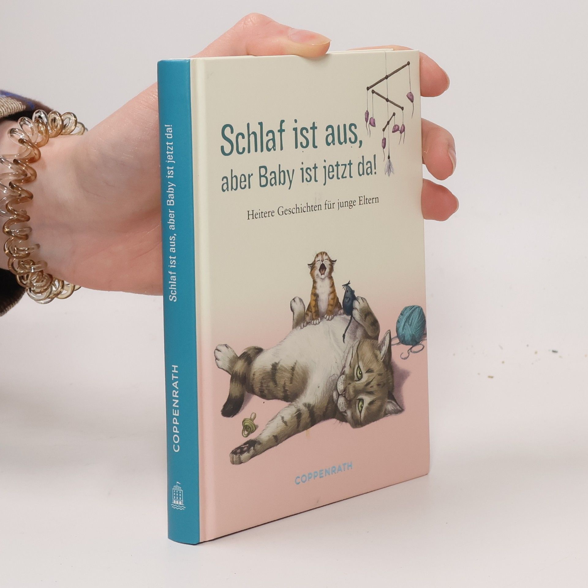 Lena Zeise Schlaf ist aus, aber Baby ist jetzt da. Heitere Geschichten