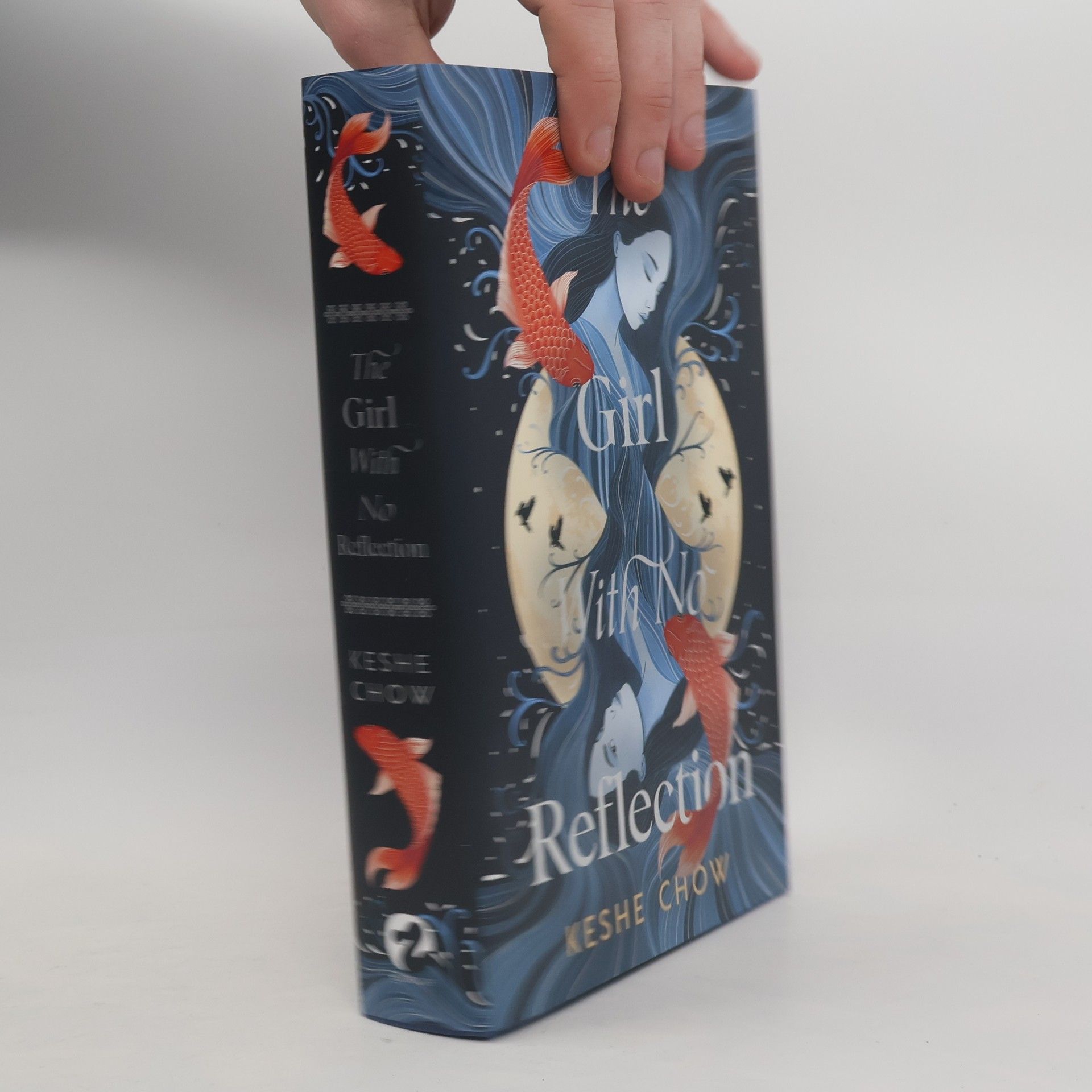 The Girl With No Reflection