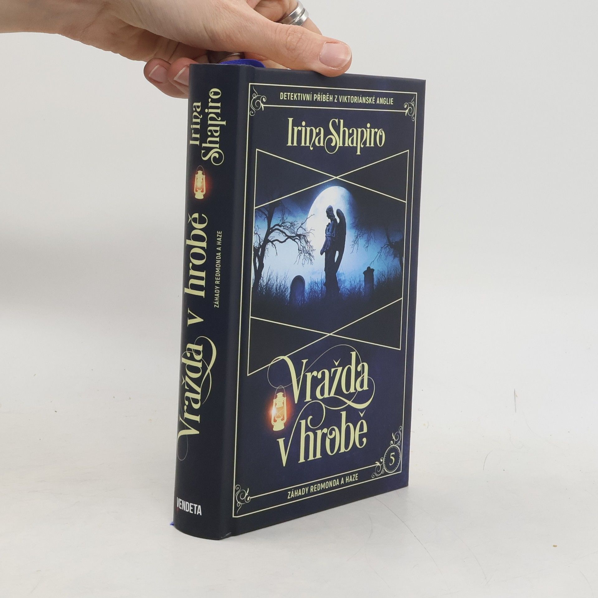 Irina Shapiro Vražda v hrobě