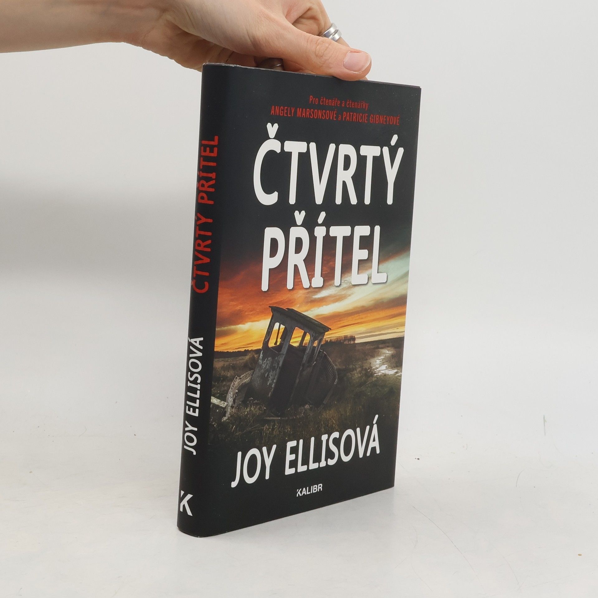 Joy Ellis Čtvrtý přítel