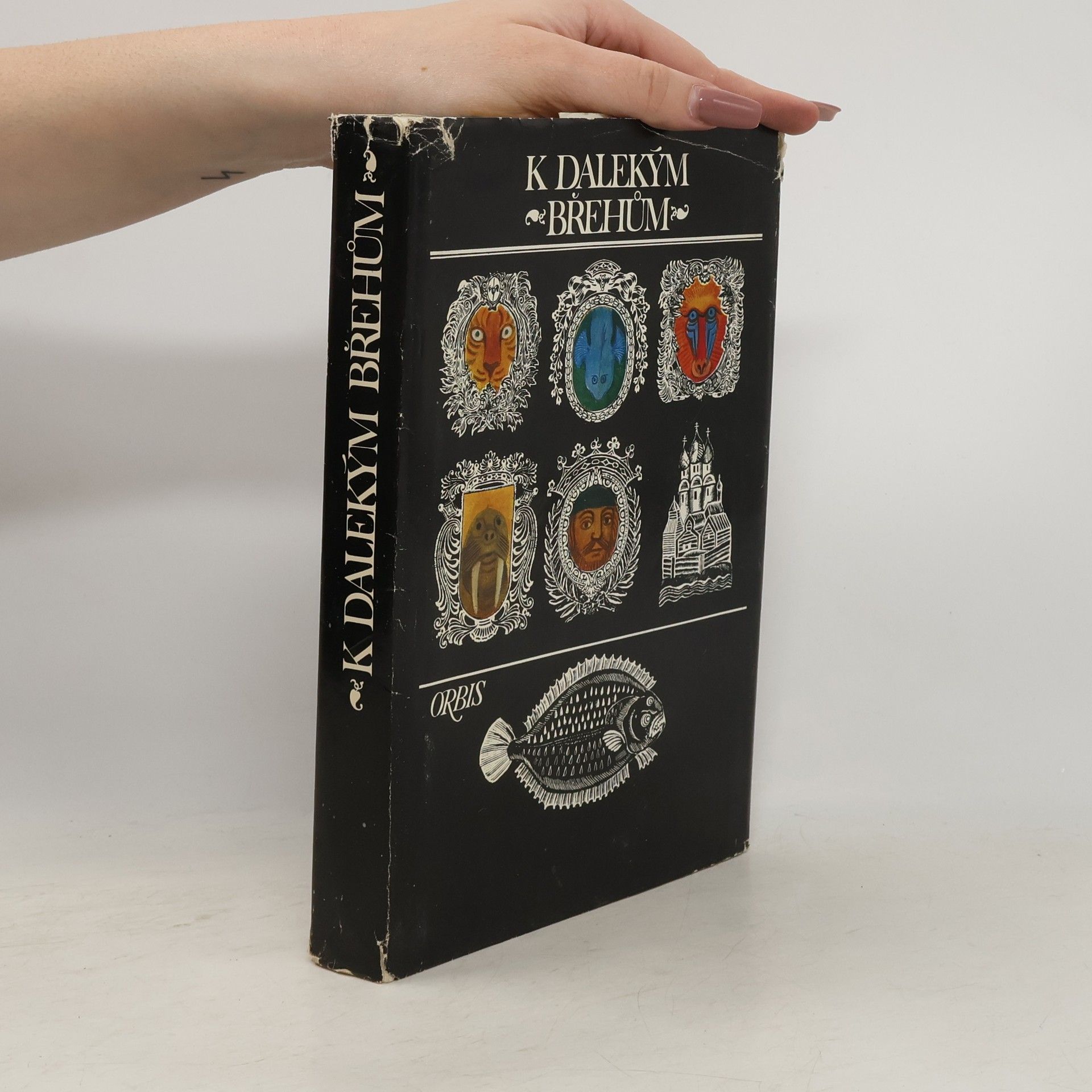 Milan Holeček K dalekým břehům