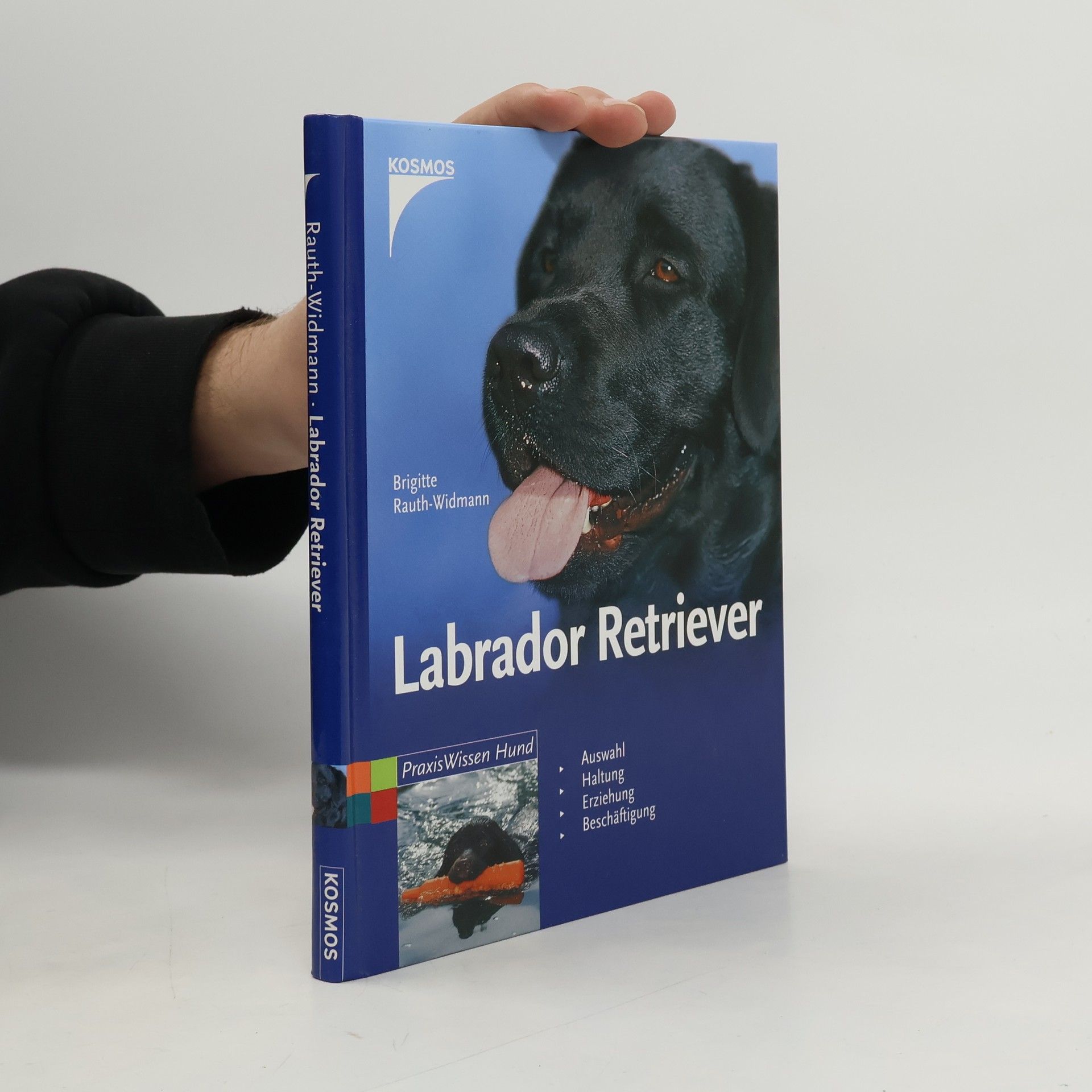 Brigitte Rauth-Widmann Labrador