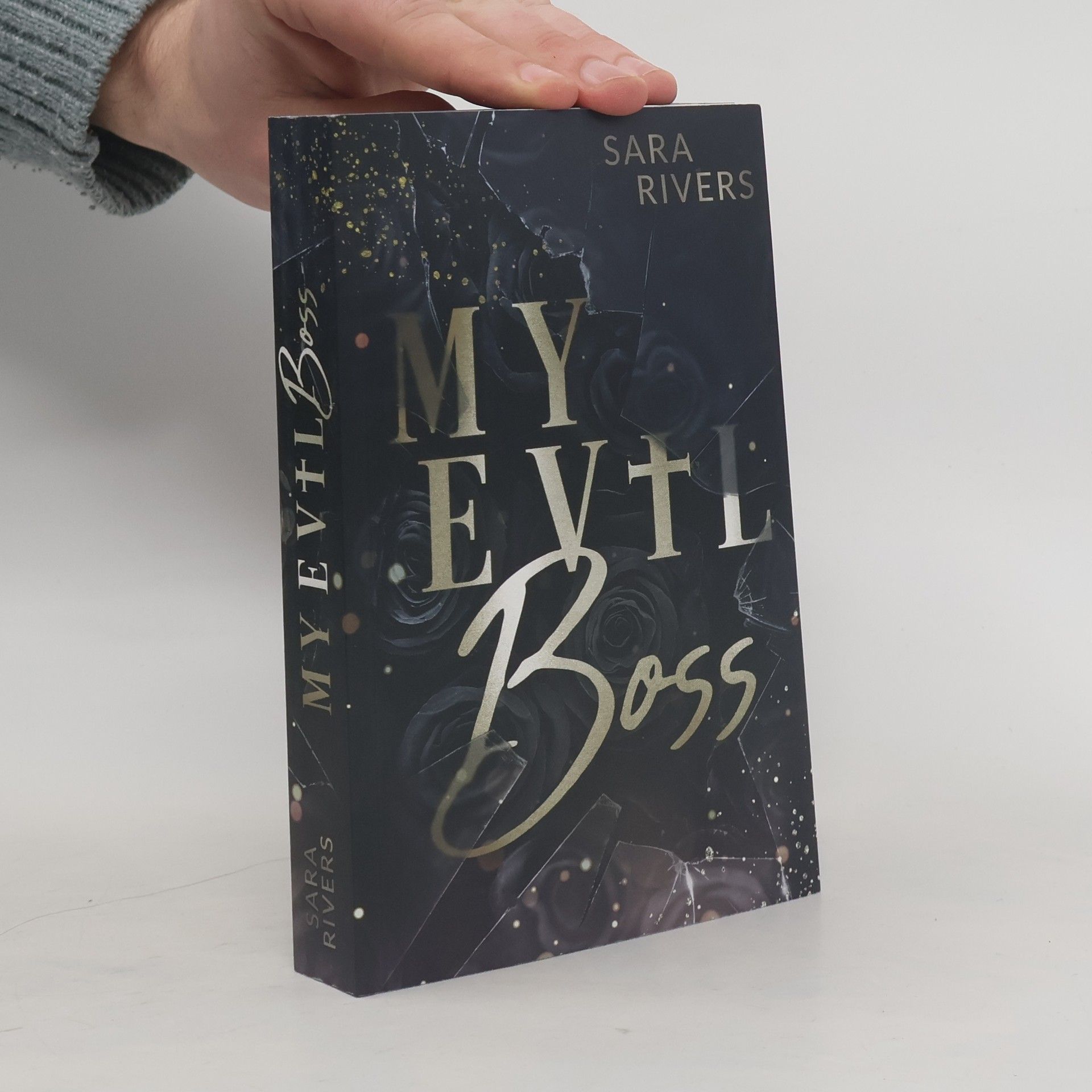 Sara Rivers My Evil Boss