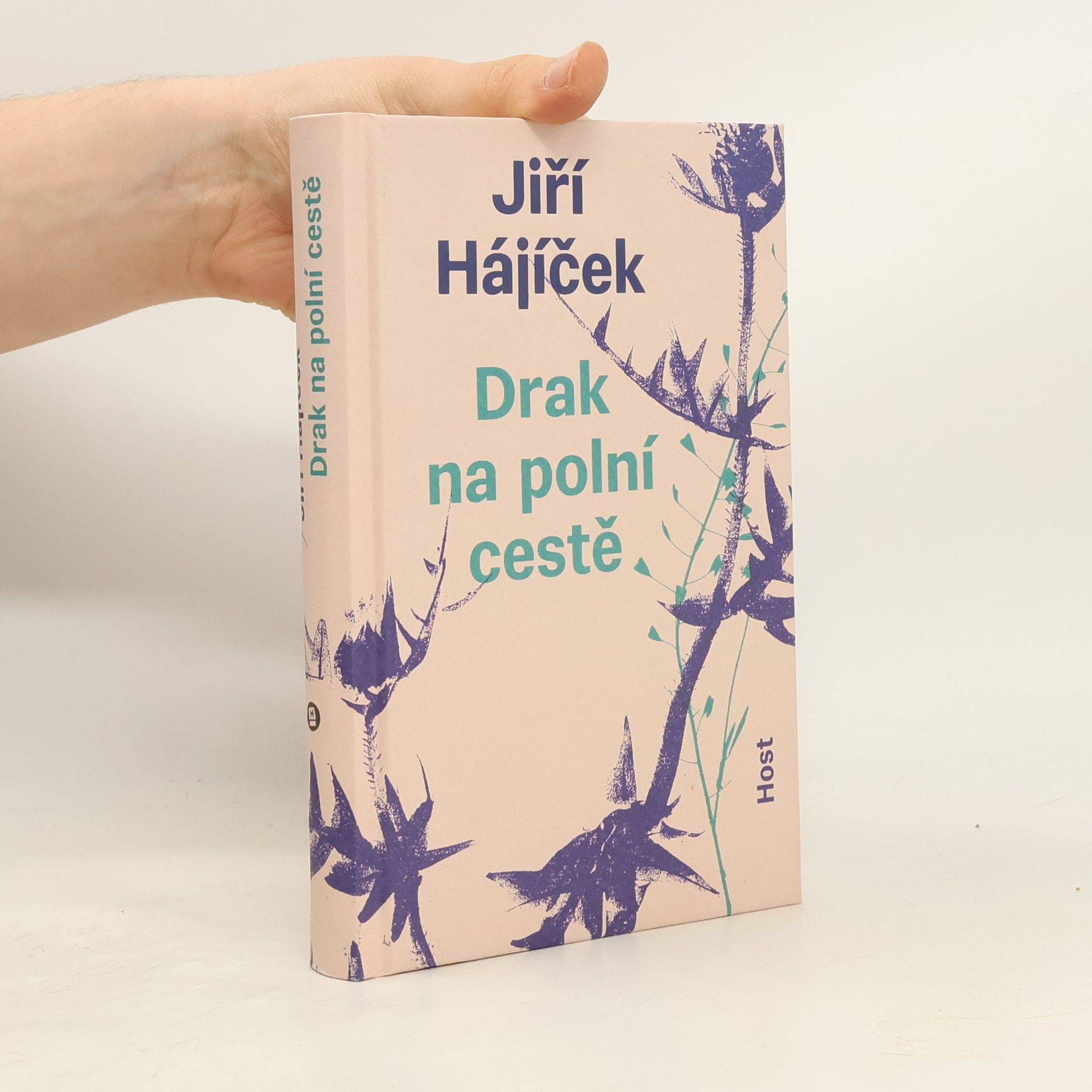 Jiří Hájíček Drak na polní cestě