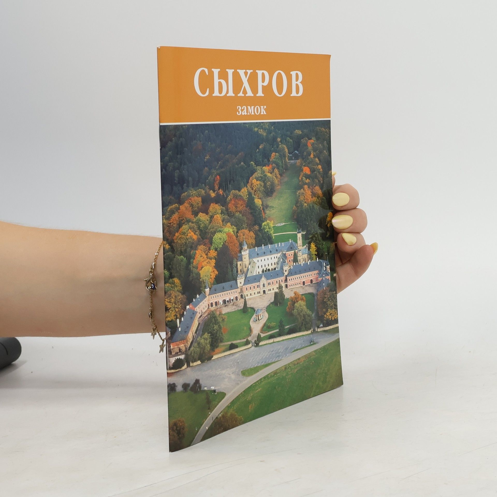 Сыхров. Замок