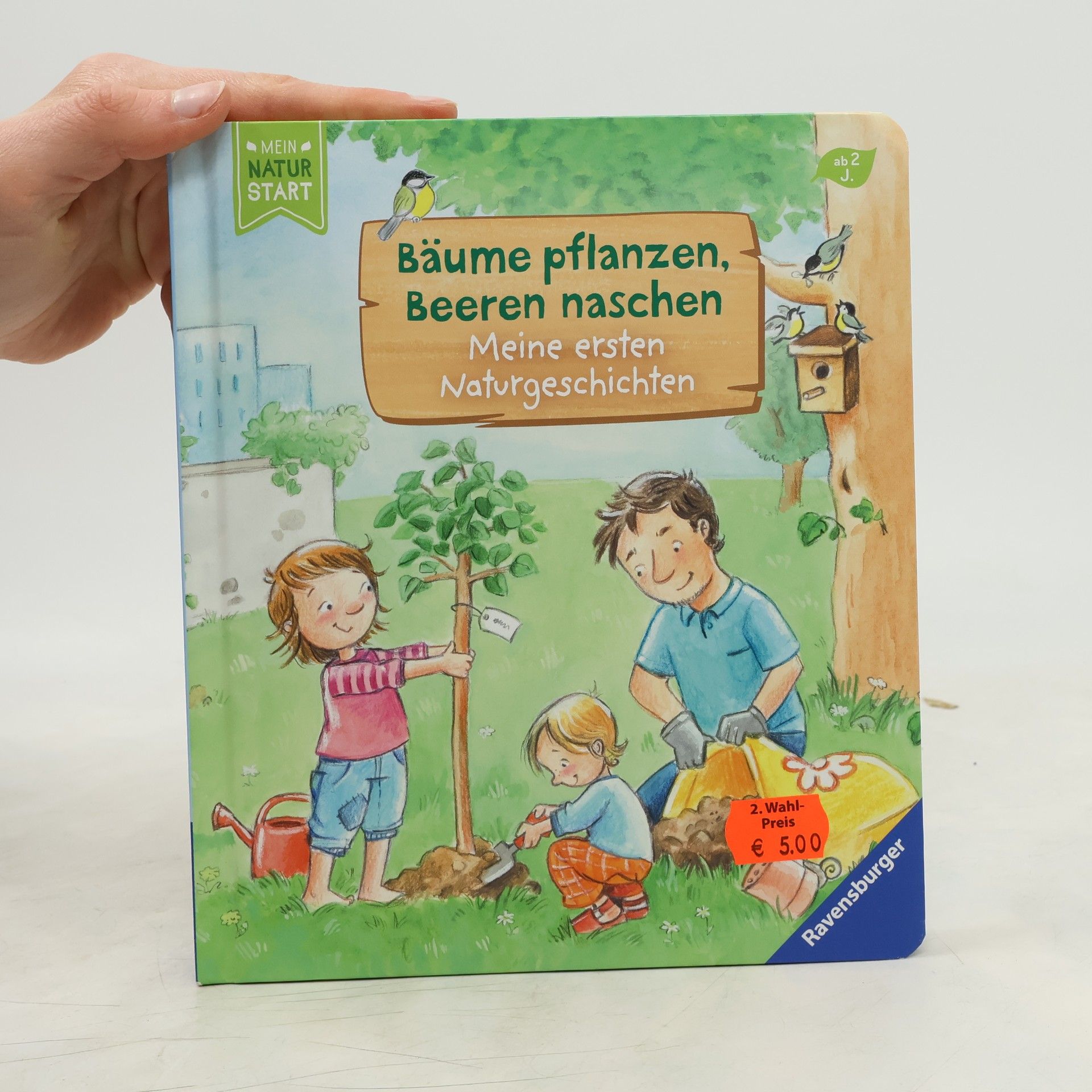 Sandra Grimm Bäume pflanzen, Beeren naschen. Meine ersten Naturgeschichten